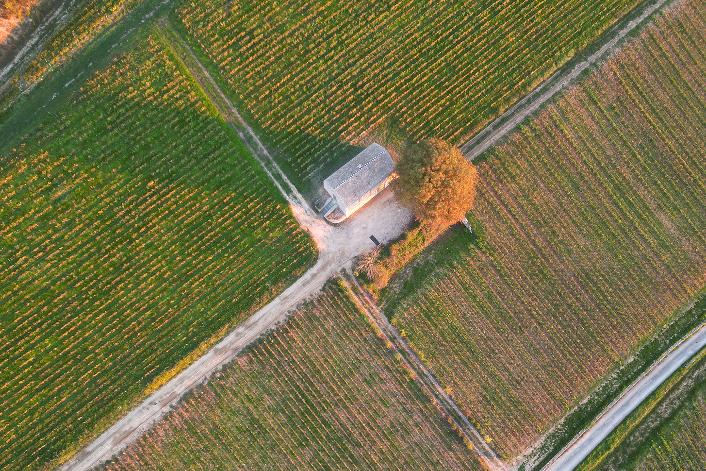 Le Vignoble Hero 3Zu2