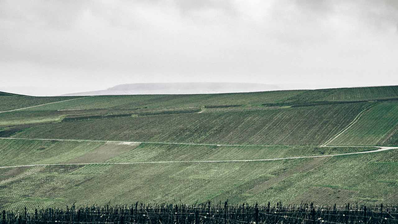 2023 Harold De Puymorin 47 Dom Pérignon Rgb Mediumwidth 1280X Prop Kopie