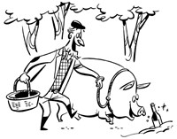 Vonsalis Illu Experte 1024X803 Vonsalis Illu Experte 1024X803