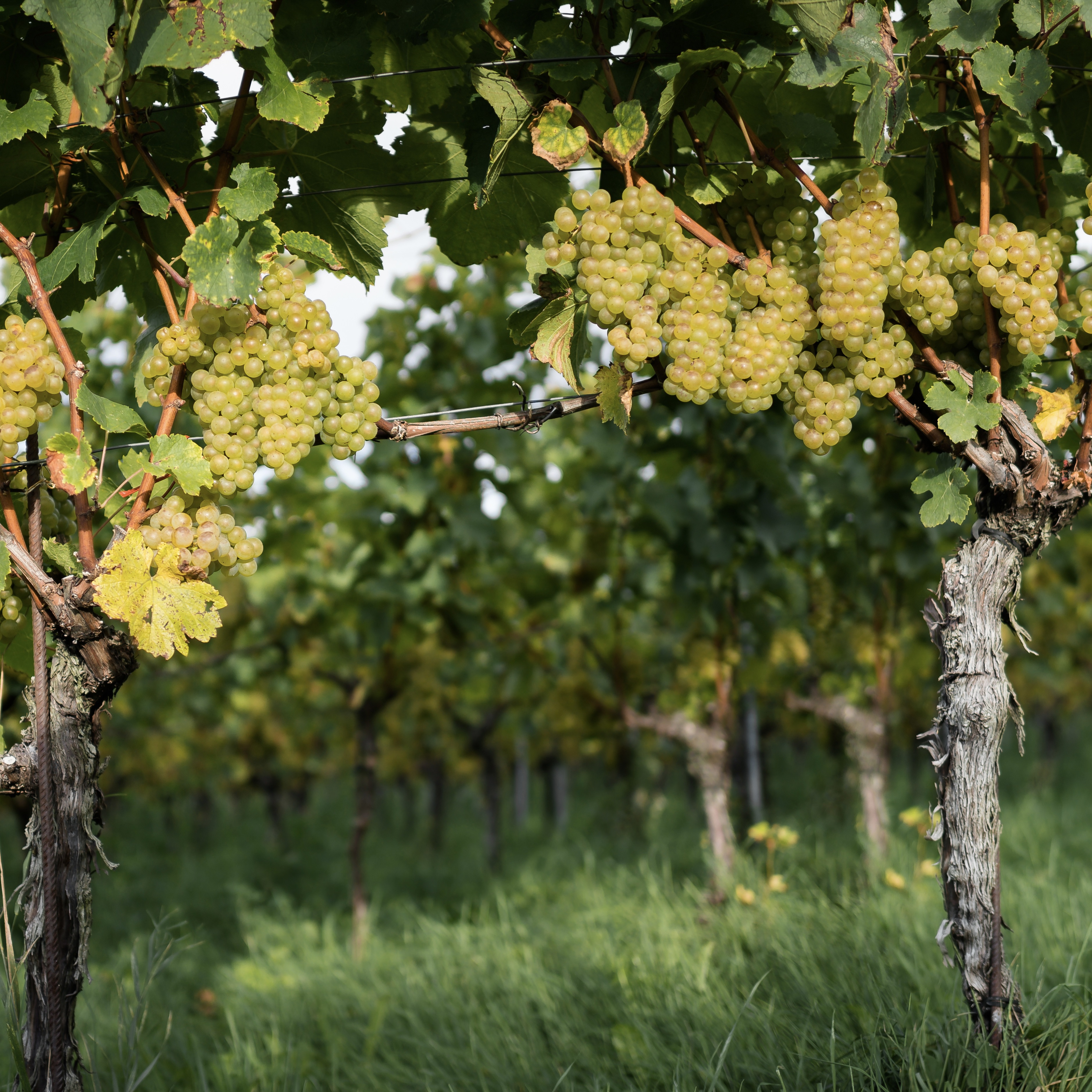 Adobestock 294936687 2