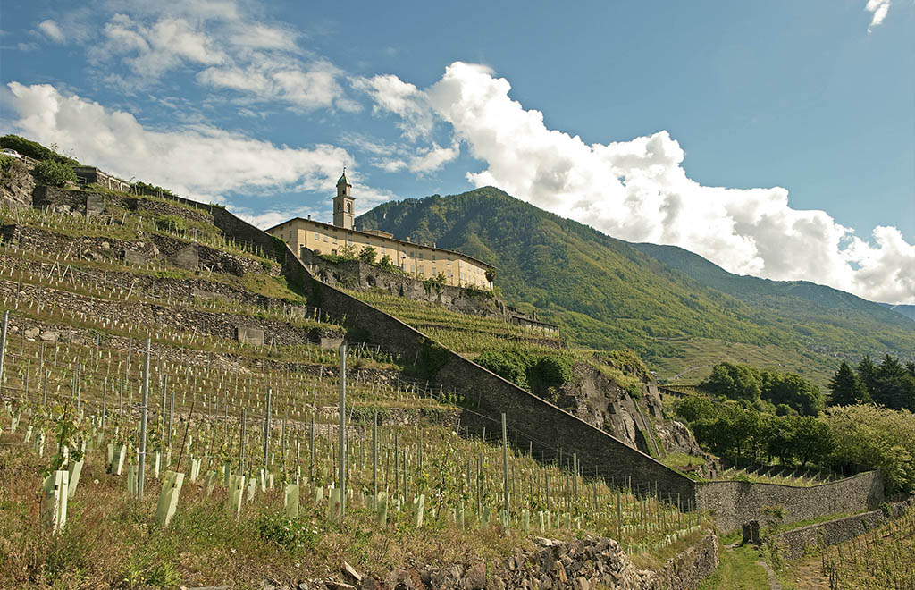 22. New Ecofriendly Certified Winery In Valtellina 4 Kopie