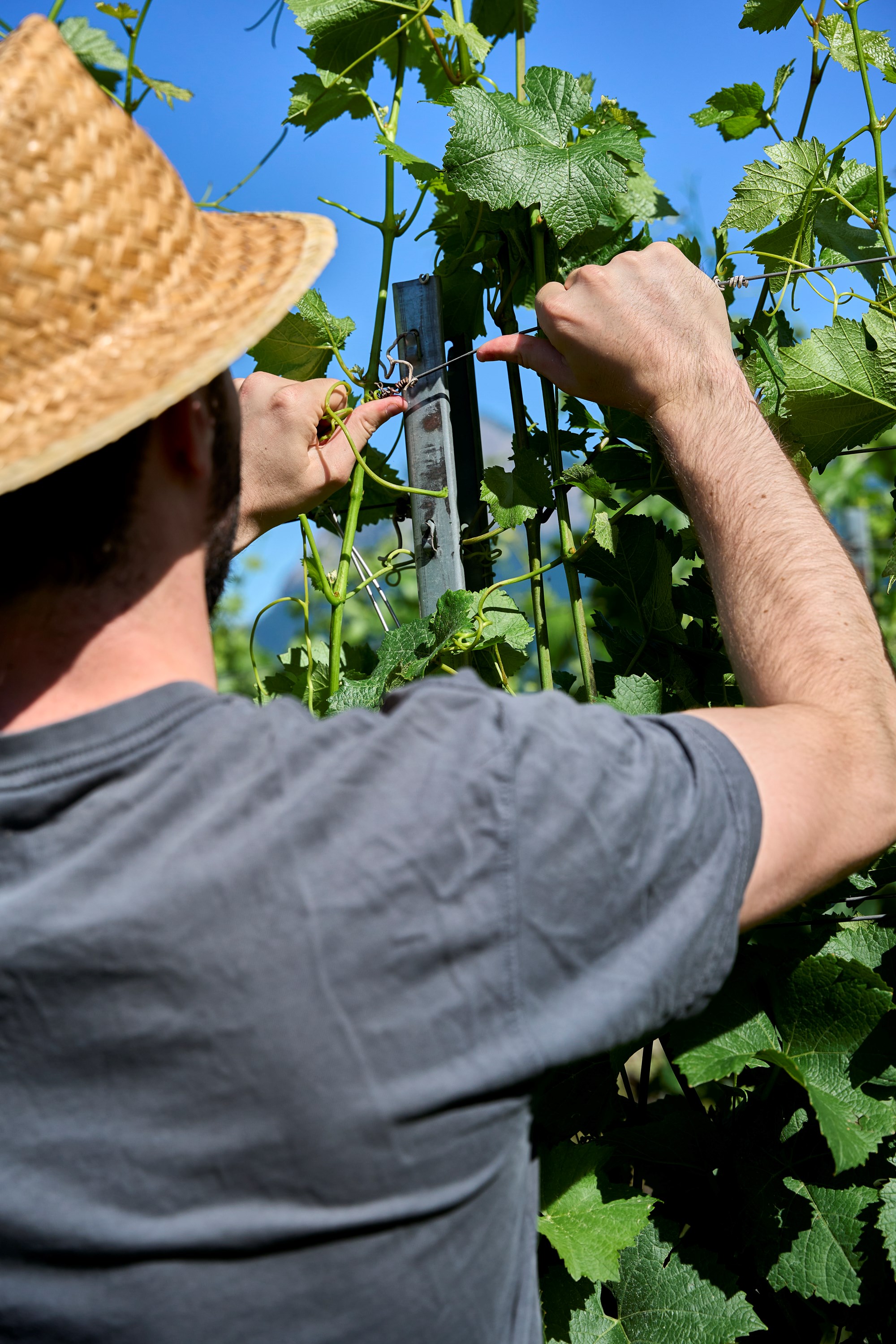 Davaz Juni22 5060 Davaz Juni22 5060