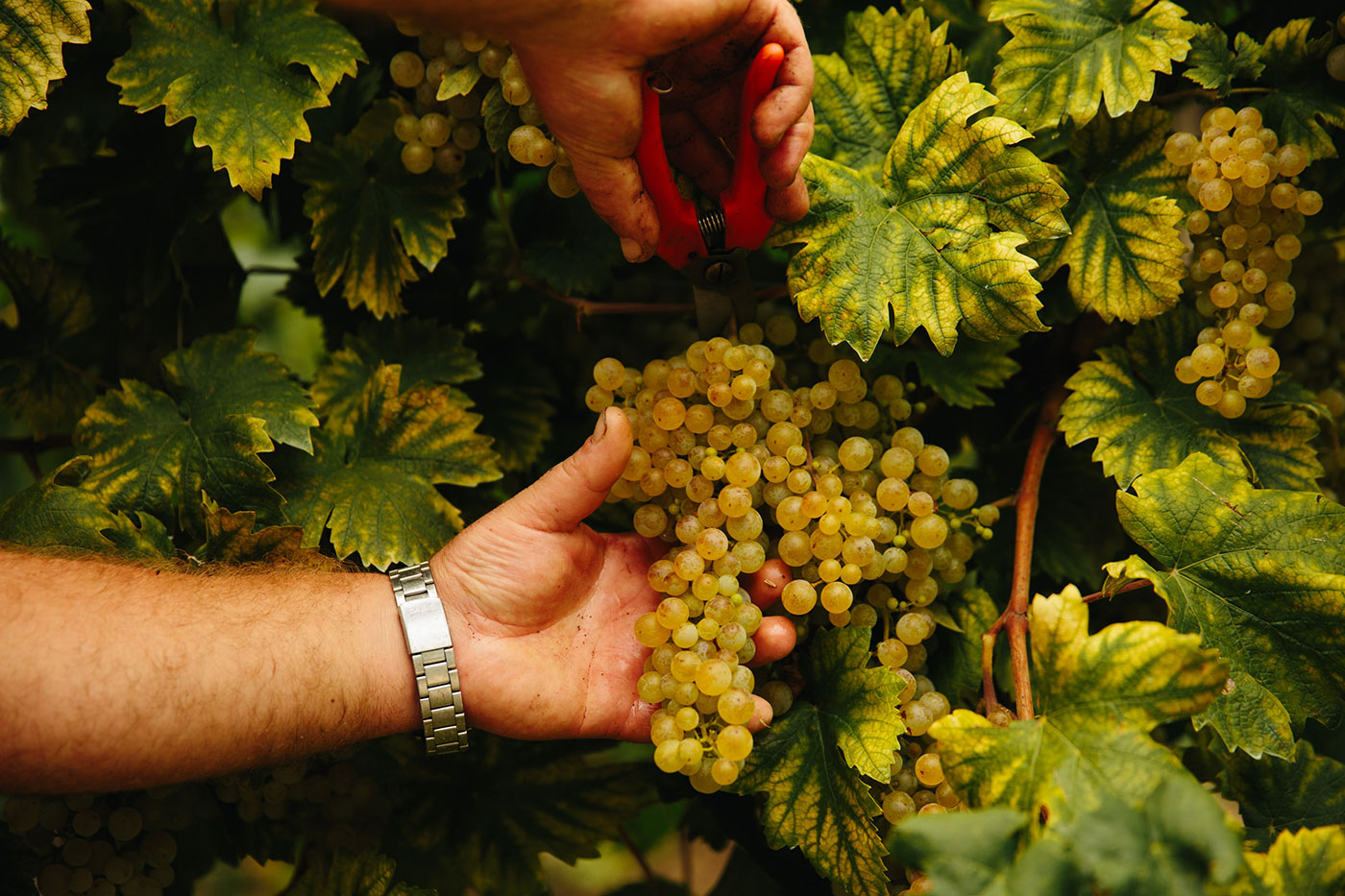 MG 7827 5825B33888d6d