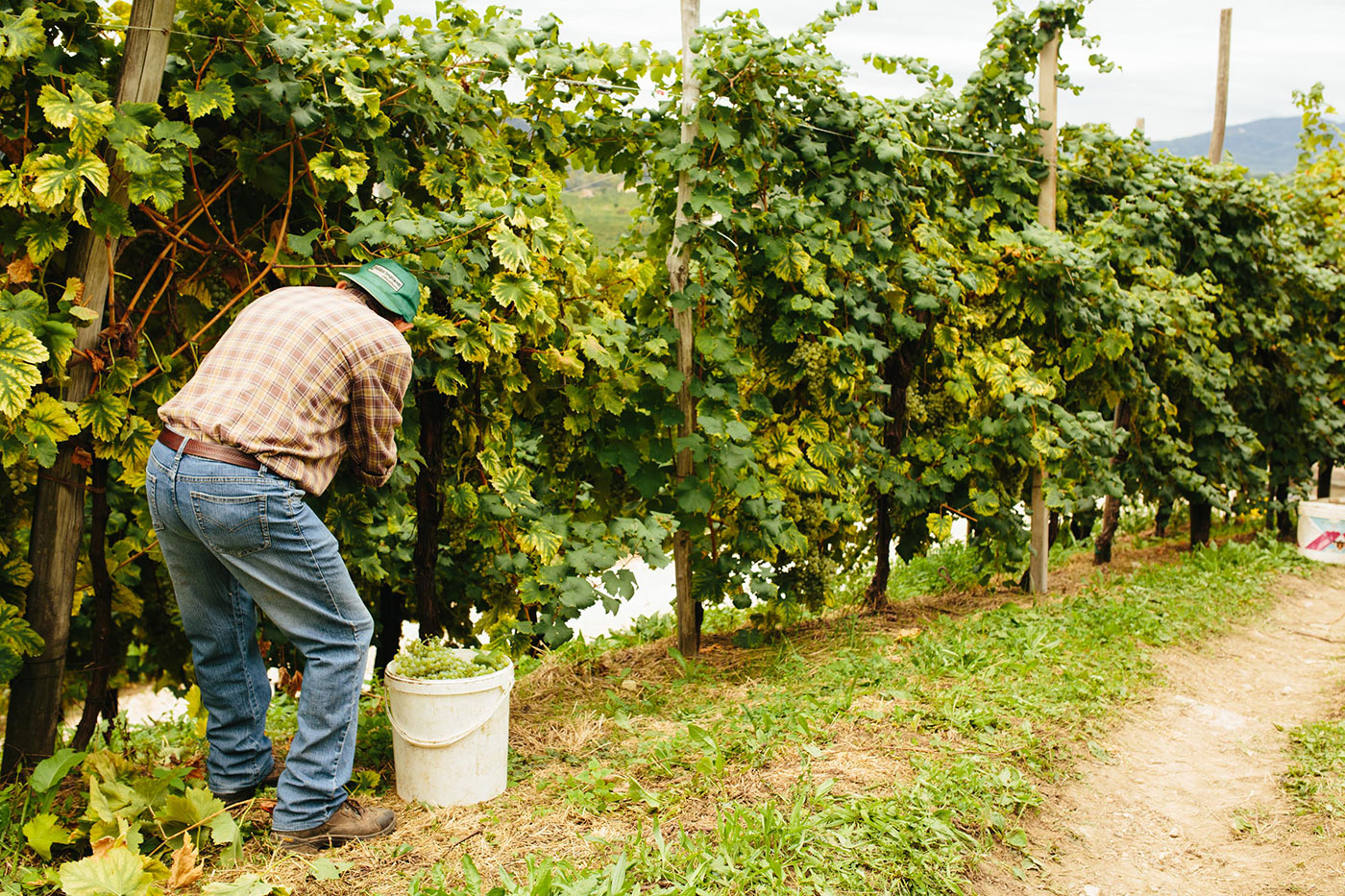 Le Colure Prosecco Von Salis Wein