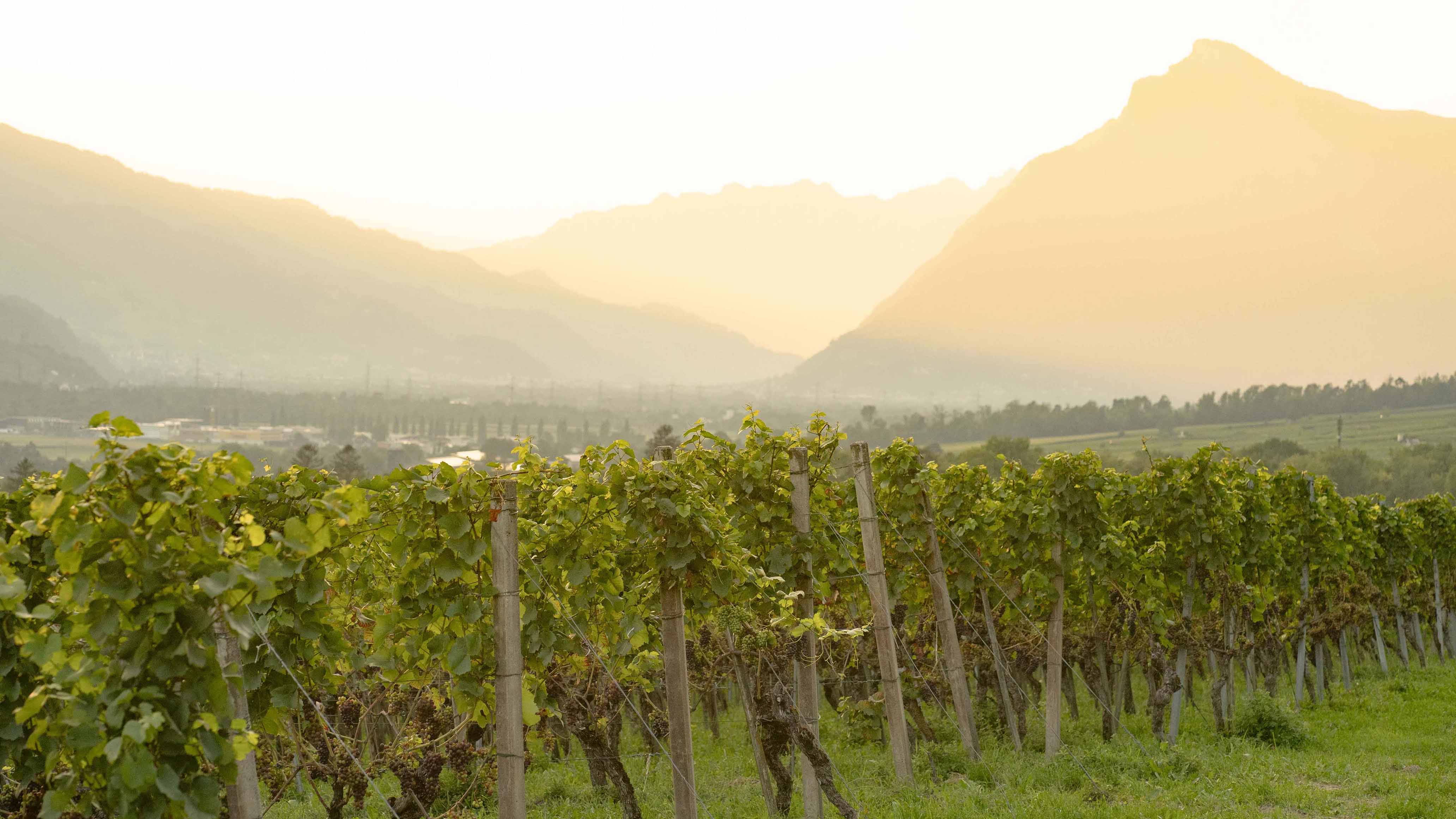 Bündner Herrschaft