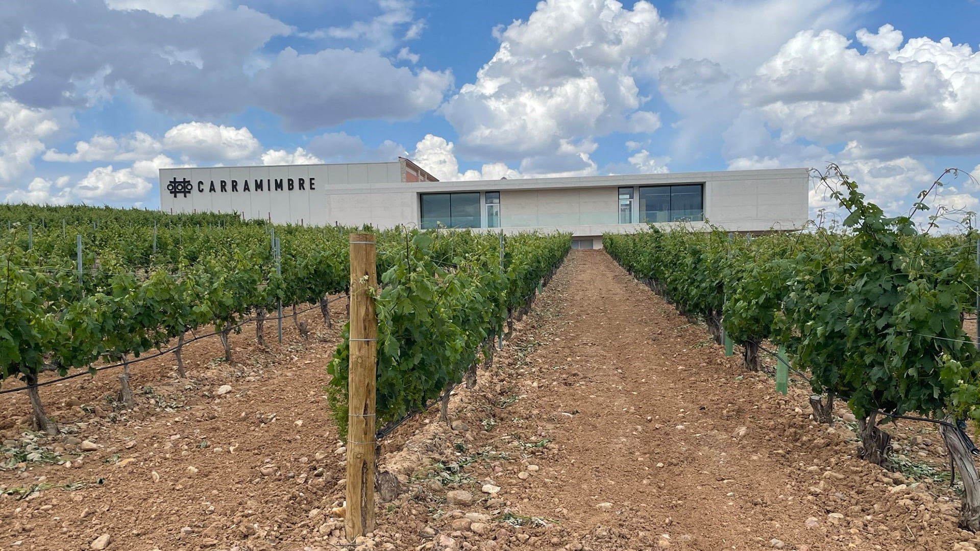 Bodegas Carramimbre Ribera Del Duero Von Salis Wein Min