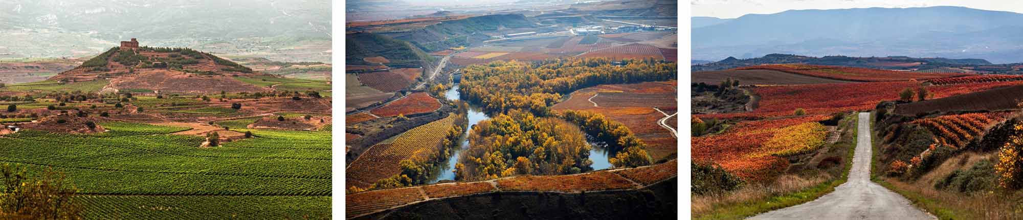 100 Jahre Rioja Landscape