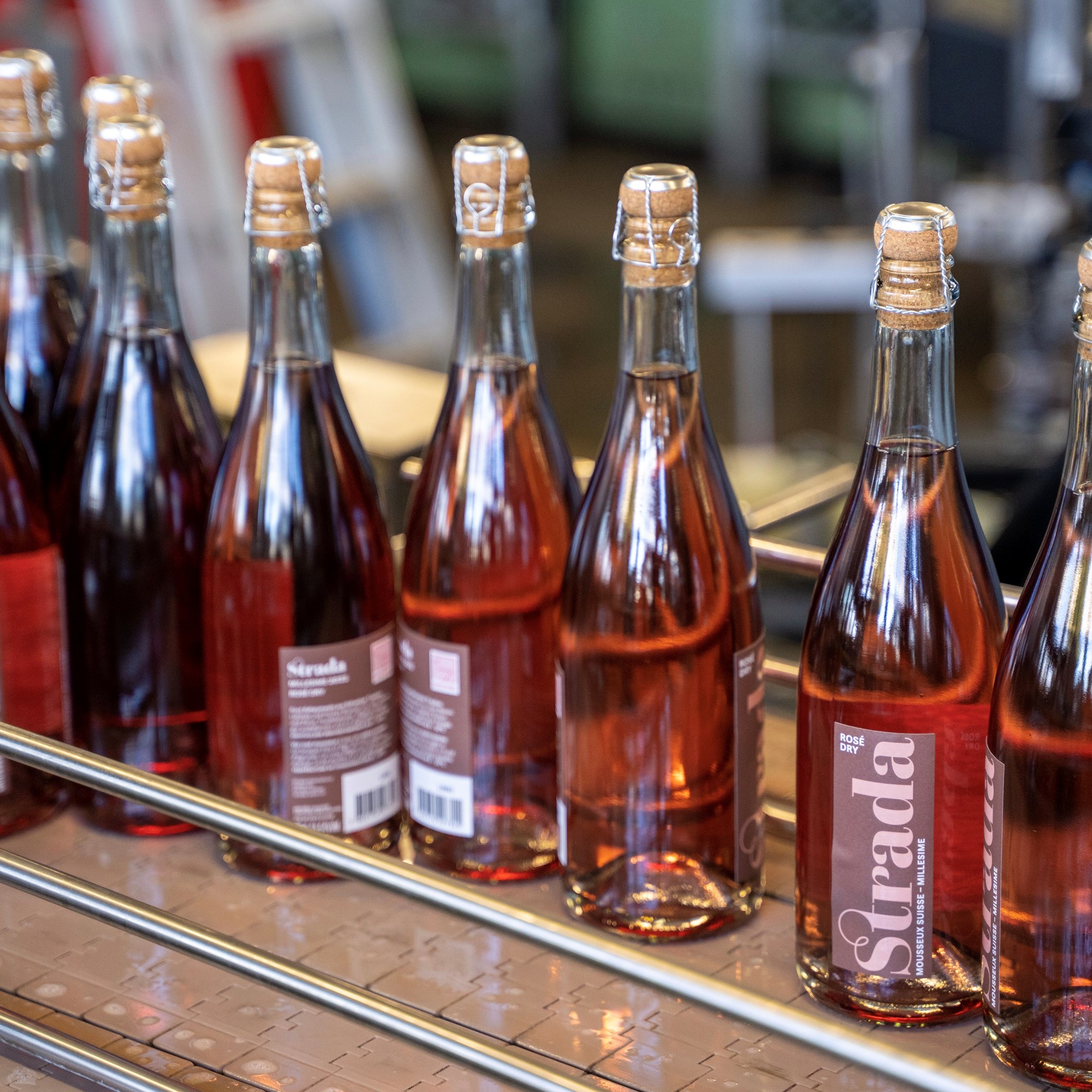 220210 Abfüllungs Strada Rosé 00108 2 220210 Abfüllungs Strada Rosé 00108 2