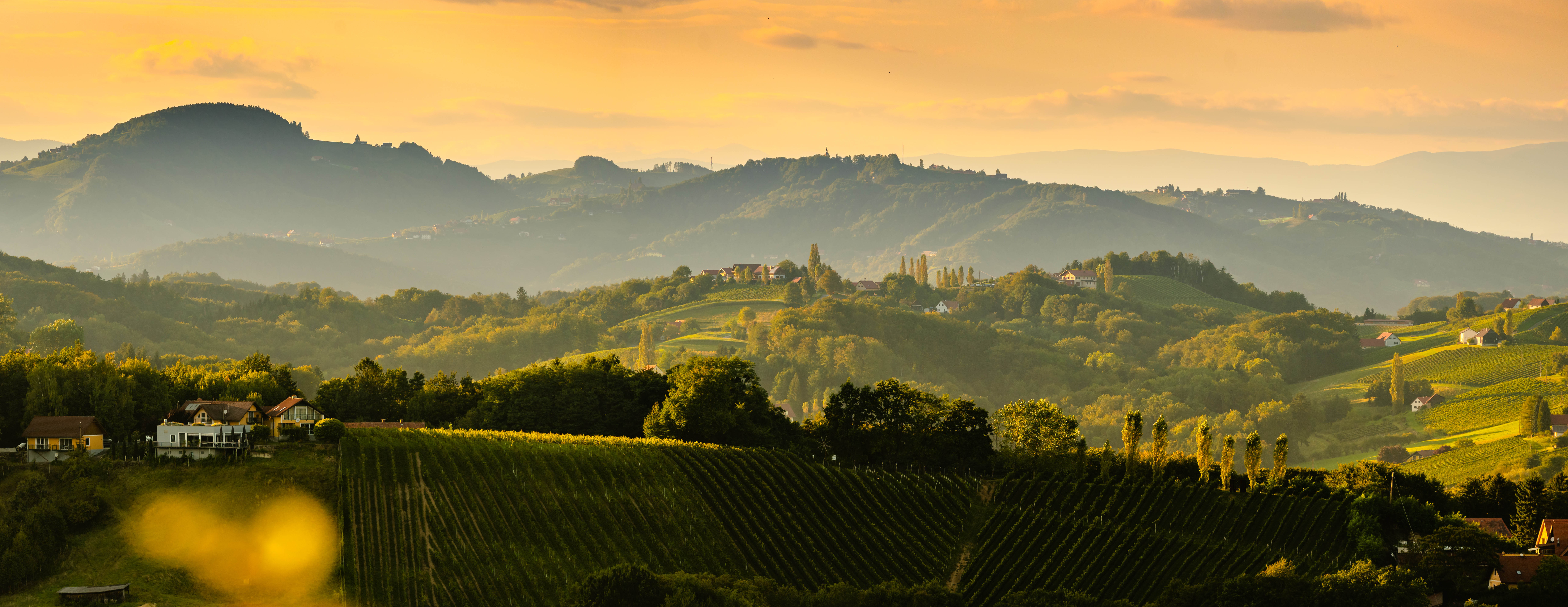 Weinland Österreich Von Salis Weinblog