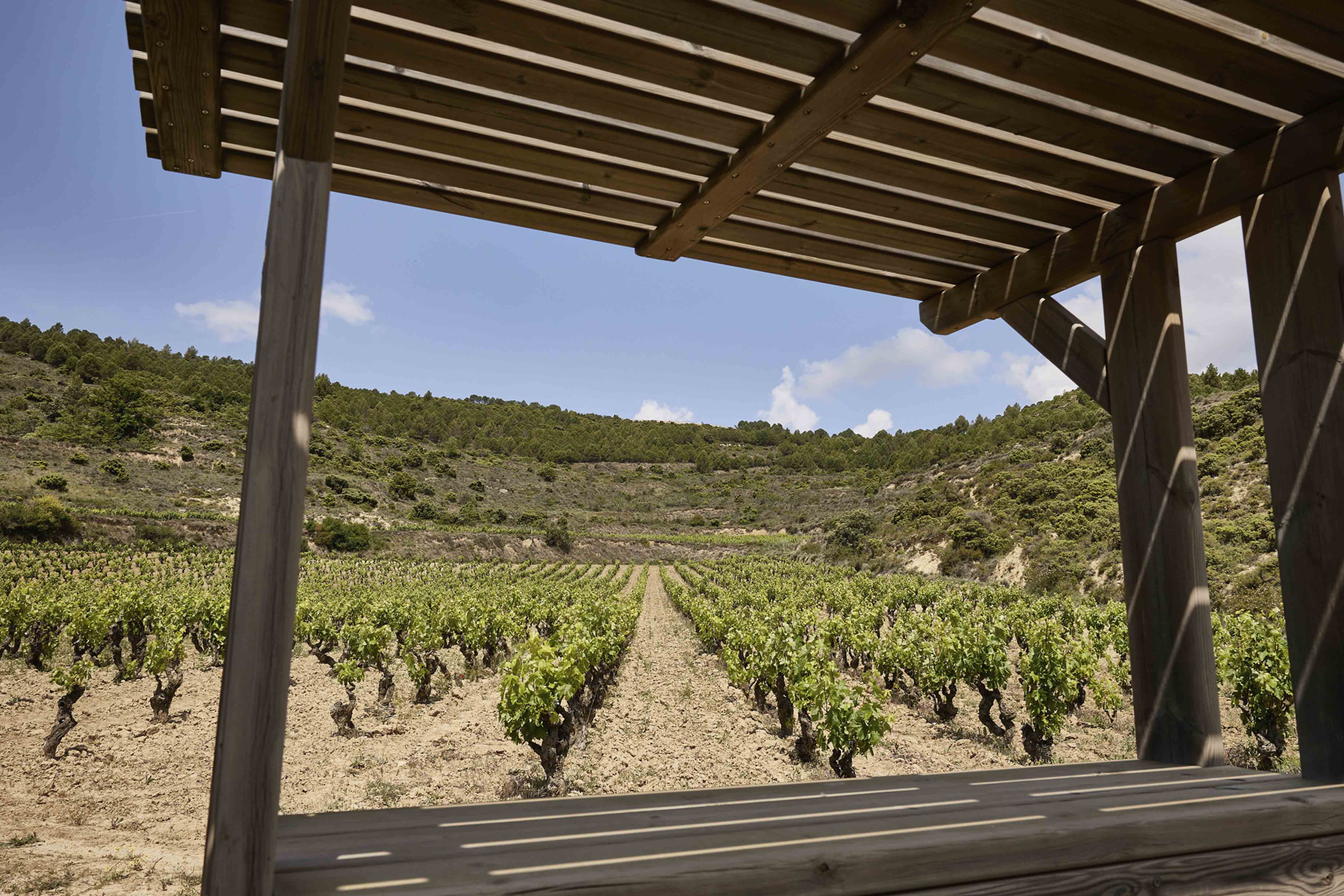 Vonsaliswein Rioja Blog Ostatu