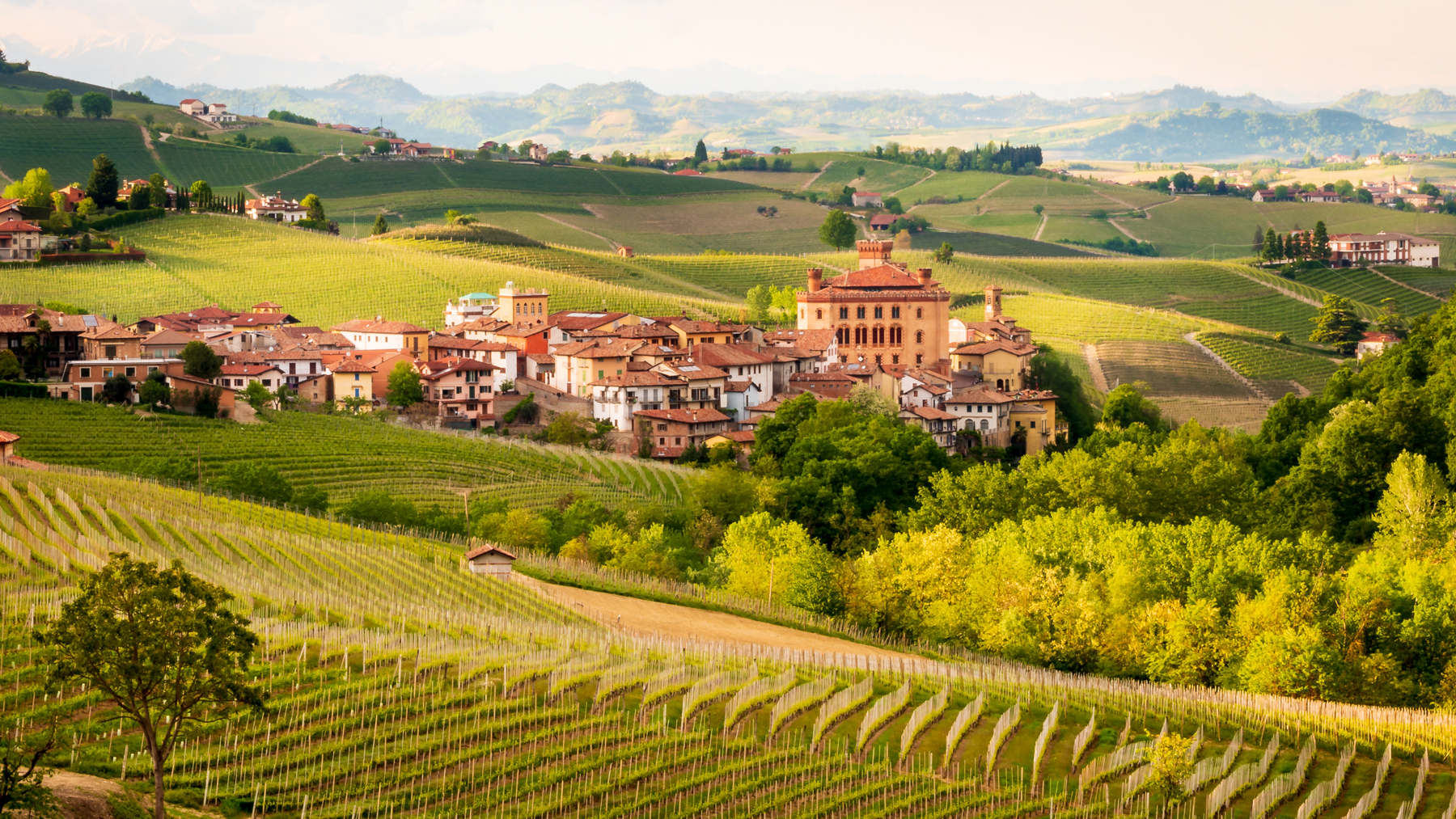 Von Salis Wein Piemont Barolo