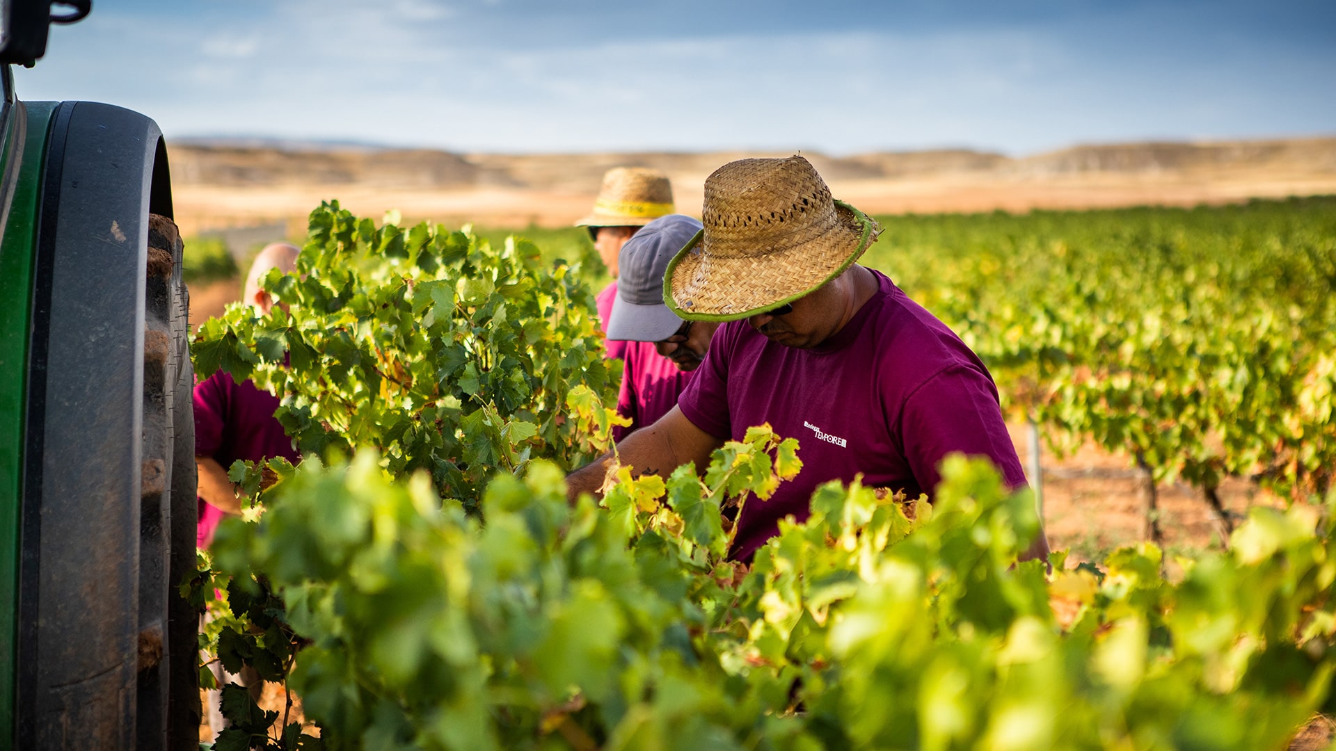 Bodegas Tempore Bajo Aragon Von Salis Wein 1 Min
