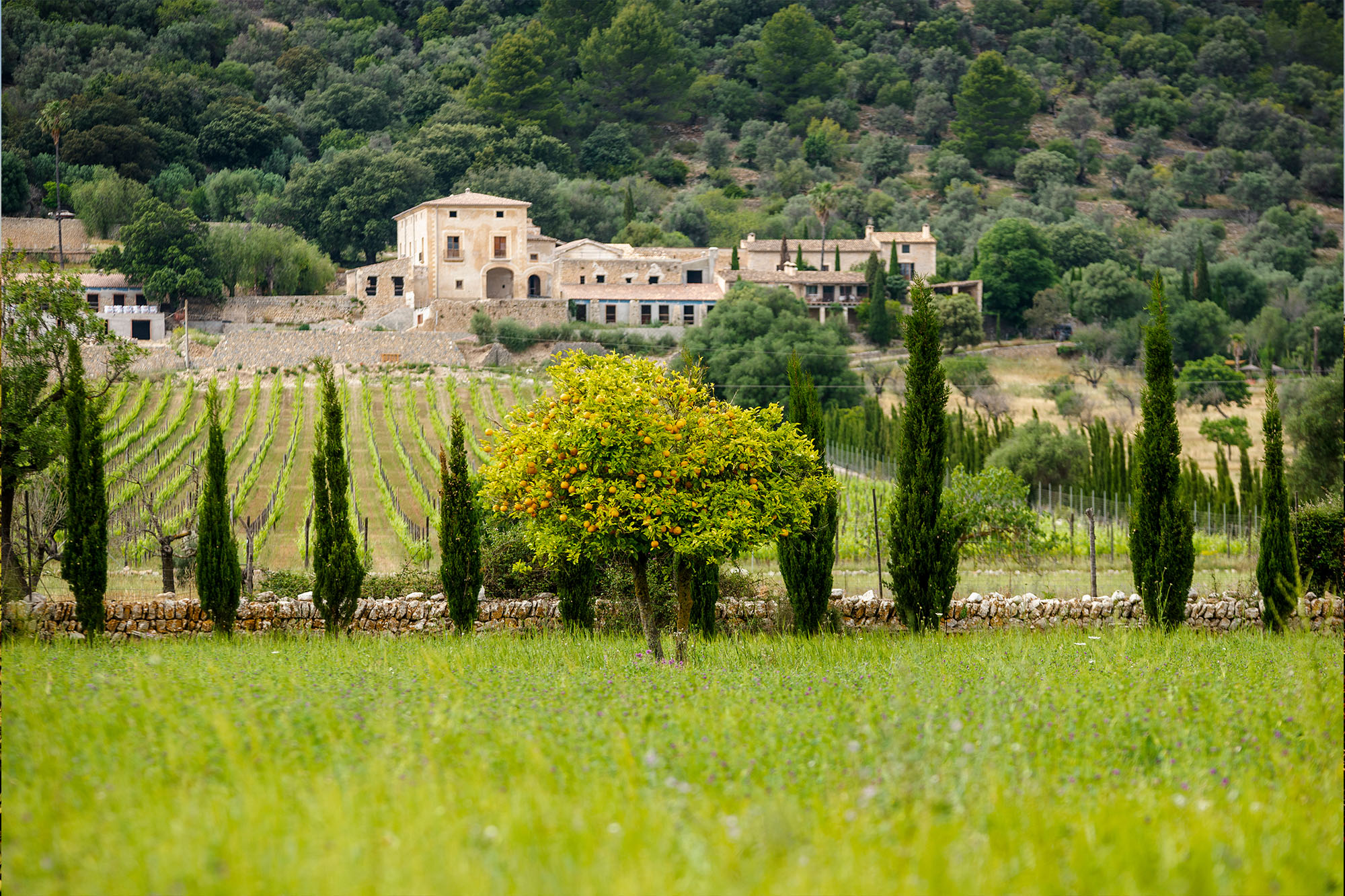 Adobestock 1405467476 Kopie (3)