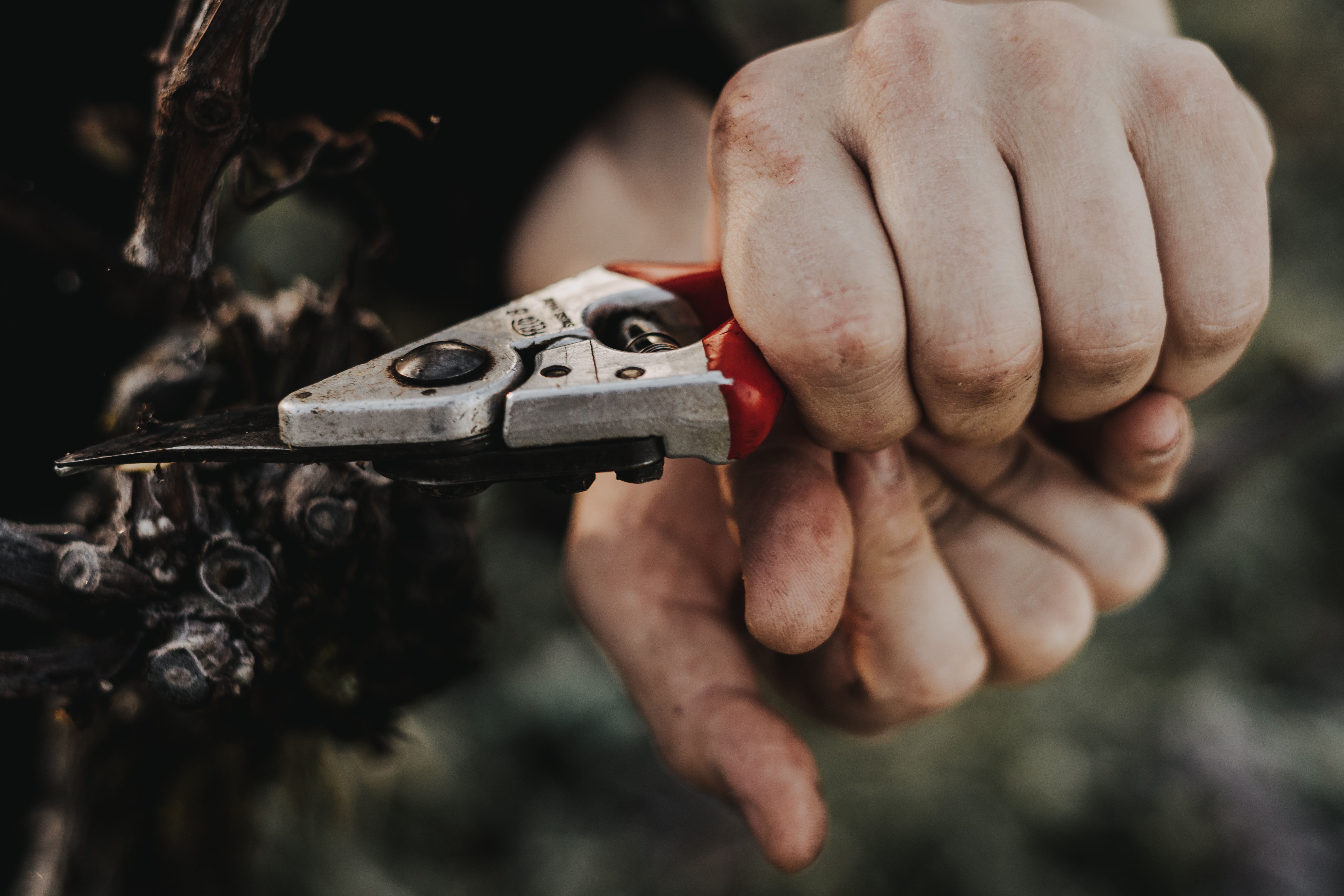 Adobestock 345152773