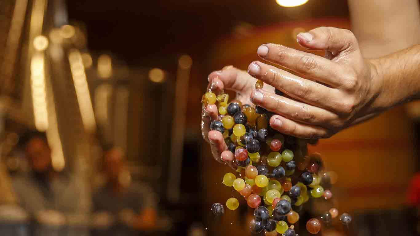 Vonsalis Wein Blog Rioja (1)