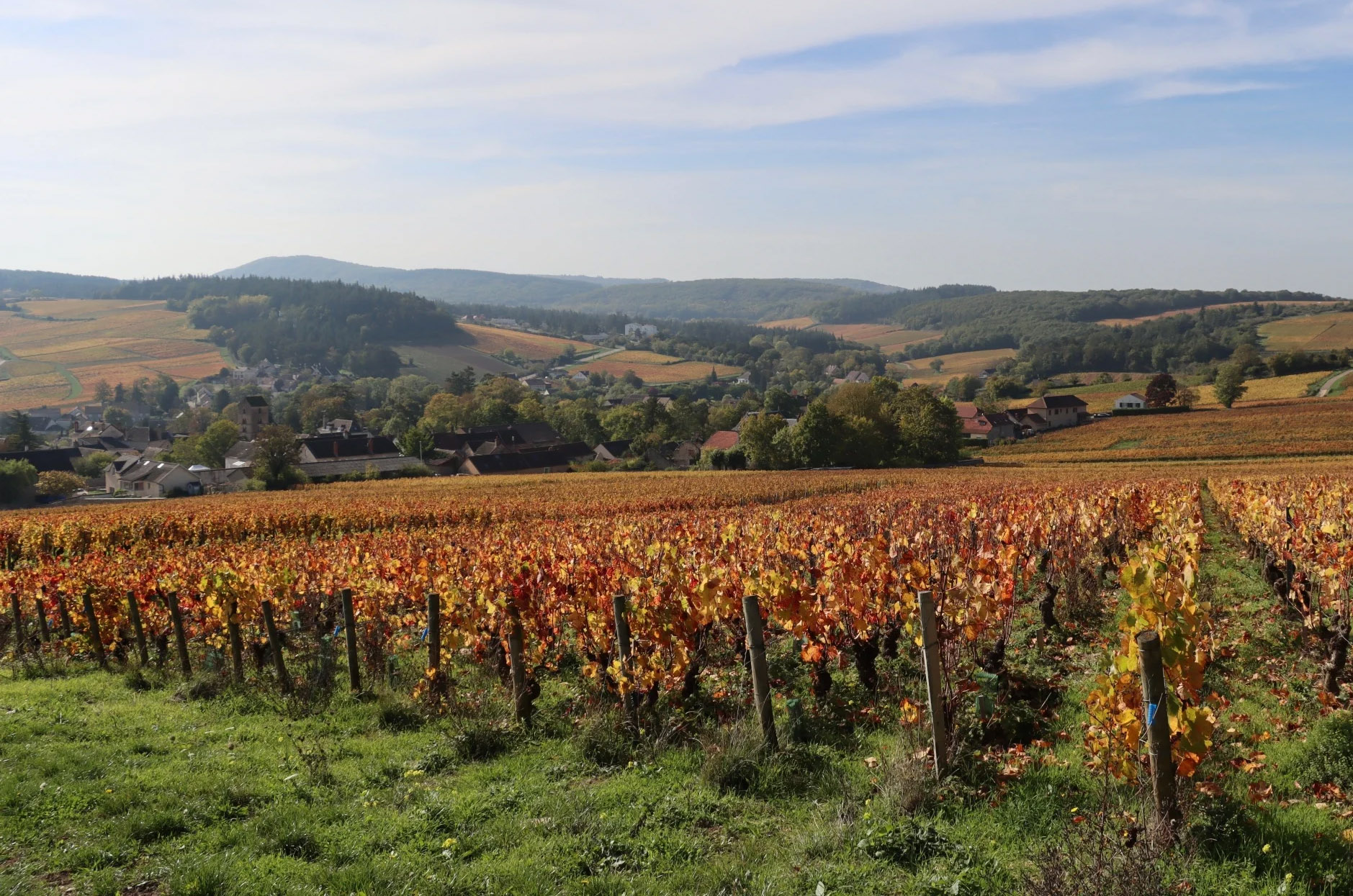 Mercurey Clos Marcilly 5791 1 3 Kopie