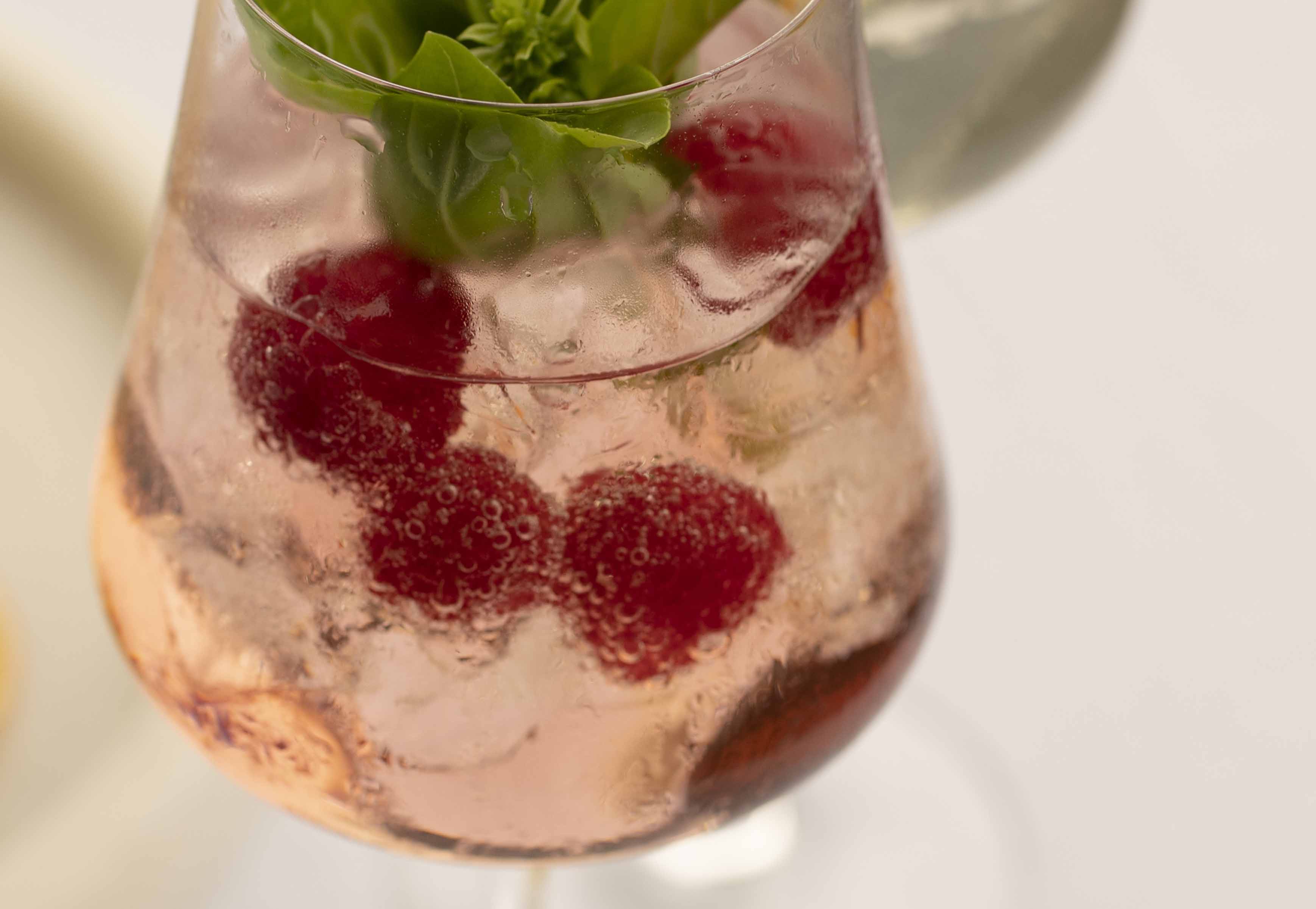 Raspberry Rhubarb Spritz