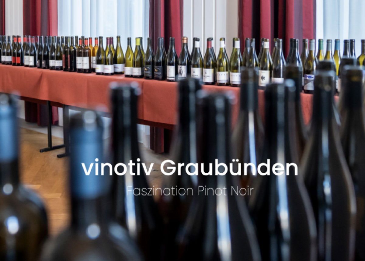 Vinotiv Graubünden Von Salis Wein Gereifte Pinots Aus Der Herrschaft, Jahrgang 2016
