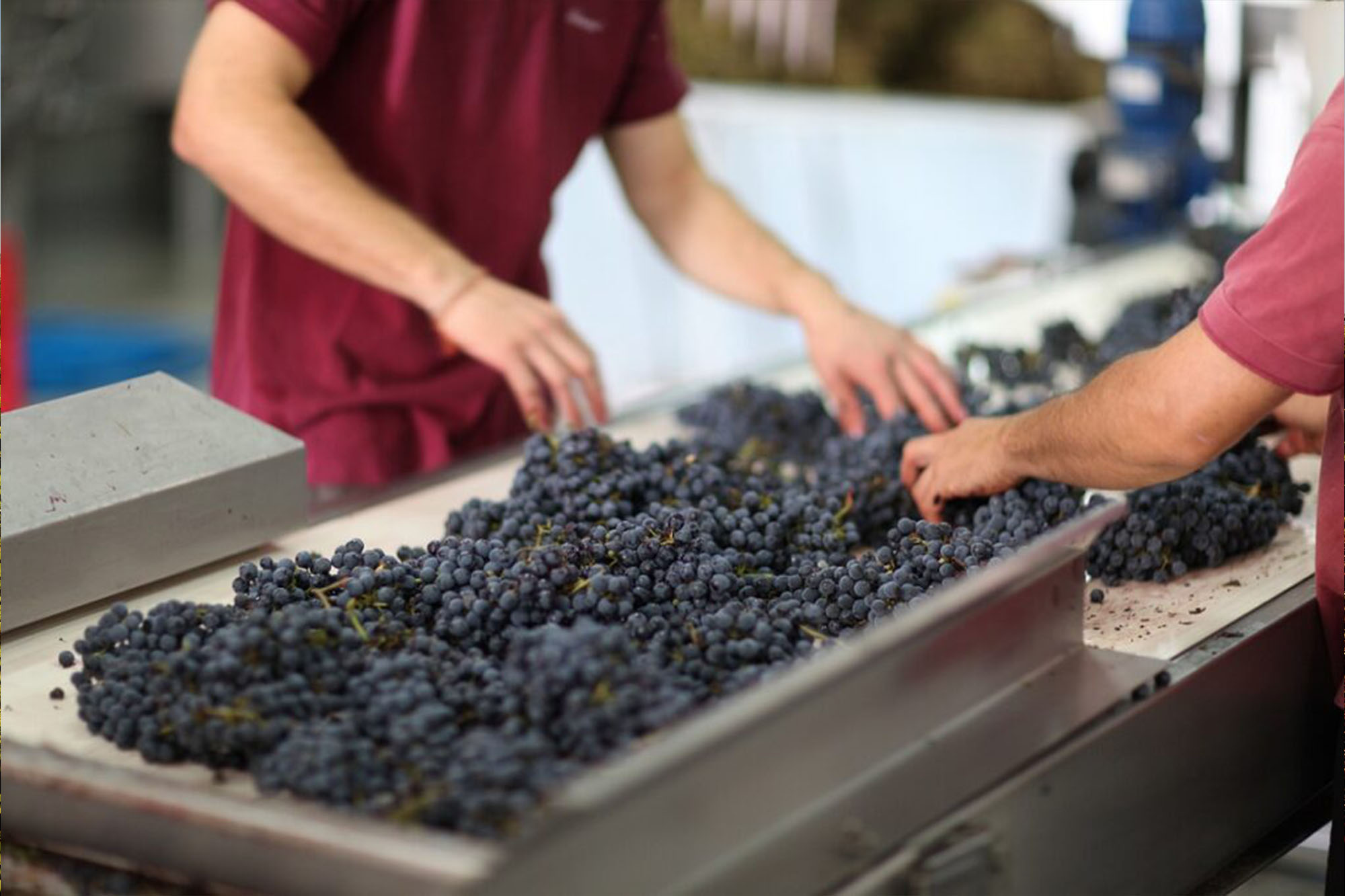 Adobestock 1405467476 Kopie (4)