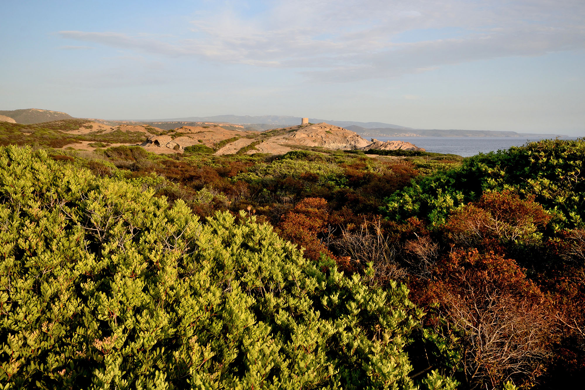 Adobestock 1405467476 Kopie (2)