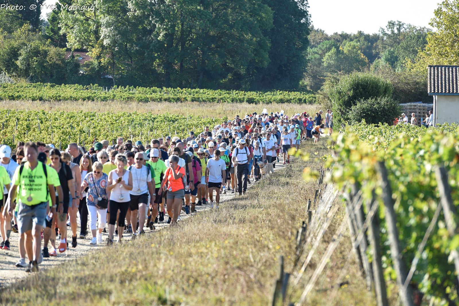 2023 17D Ym Medoc J4 023 2023 17D Ym Medoc J4 023
