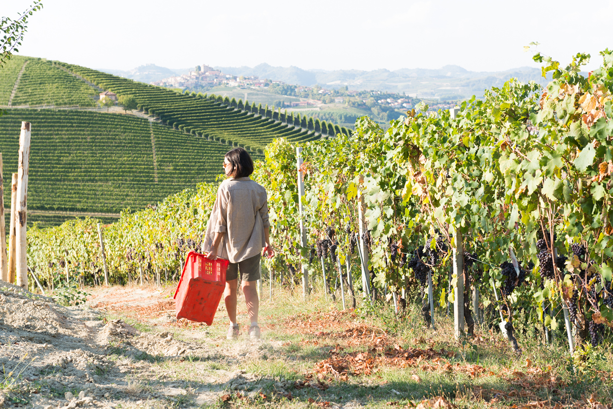 Mood1 Weinreise Piemont 2026 Vonsalis