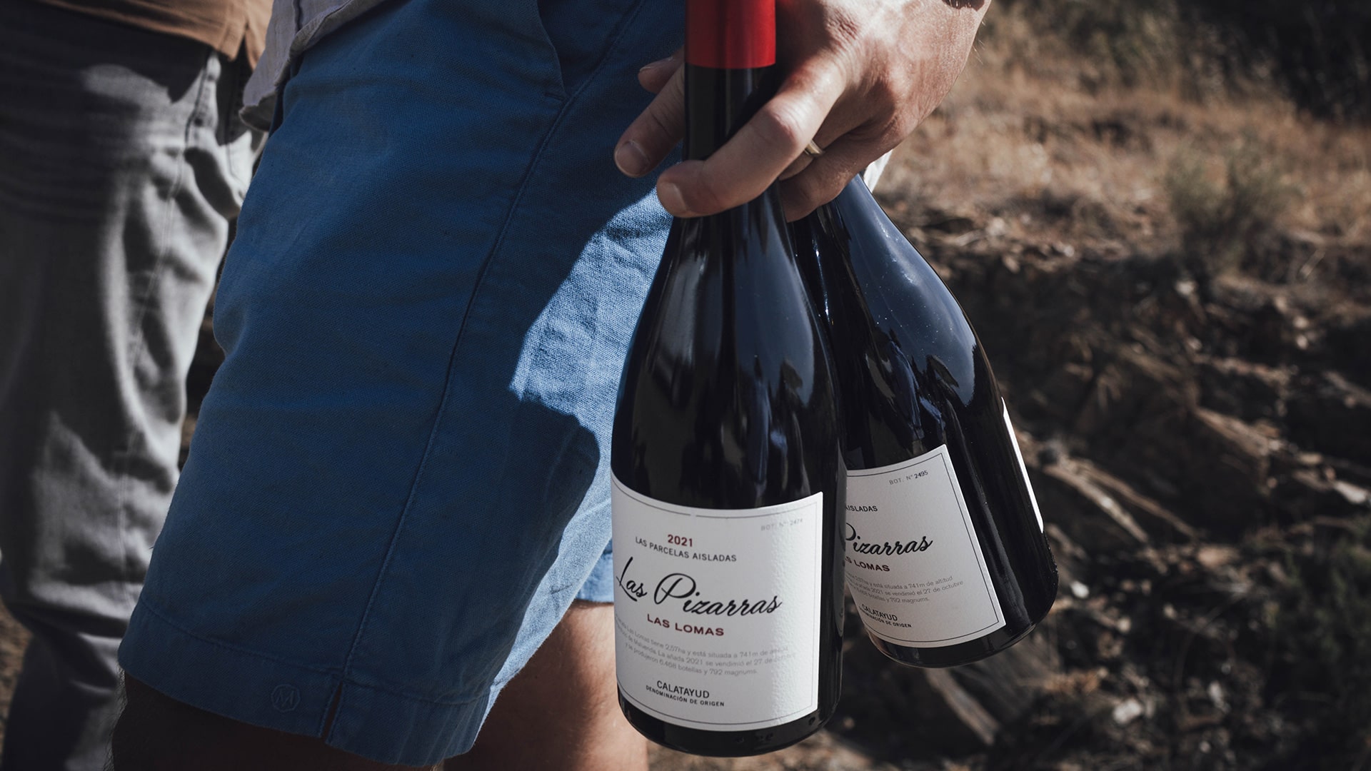 Las Pizarras Calatayud Von Salis Wein Min