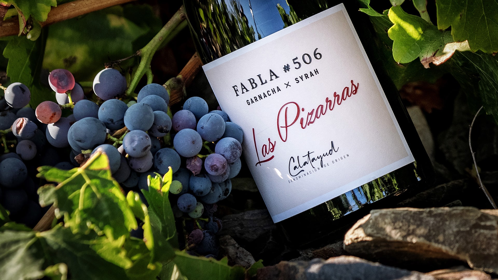 Las Pizarras Calatayud Von Salis Wein 1 Min