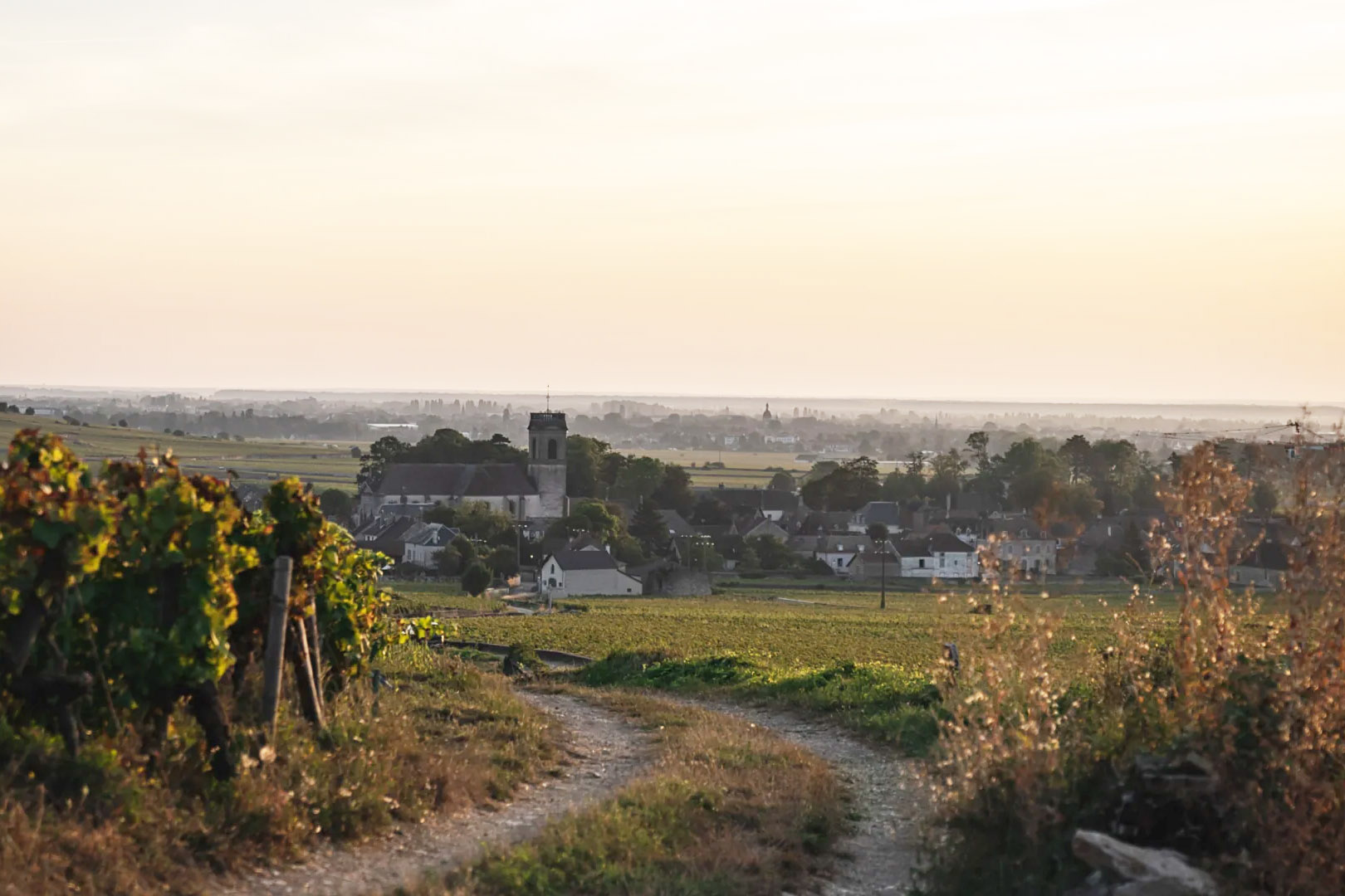 Domaine Parent Von Salis