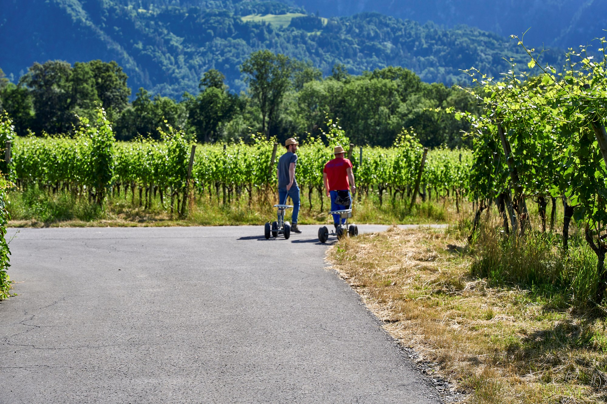 Davaz Juni22 5082 Davaz Juni22 5082