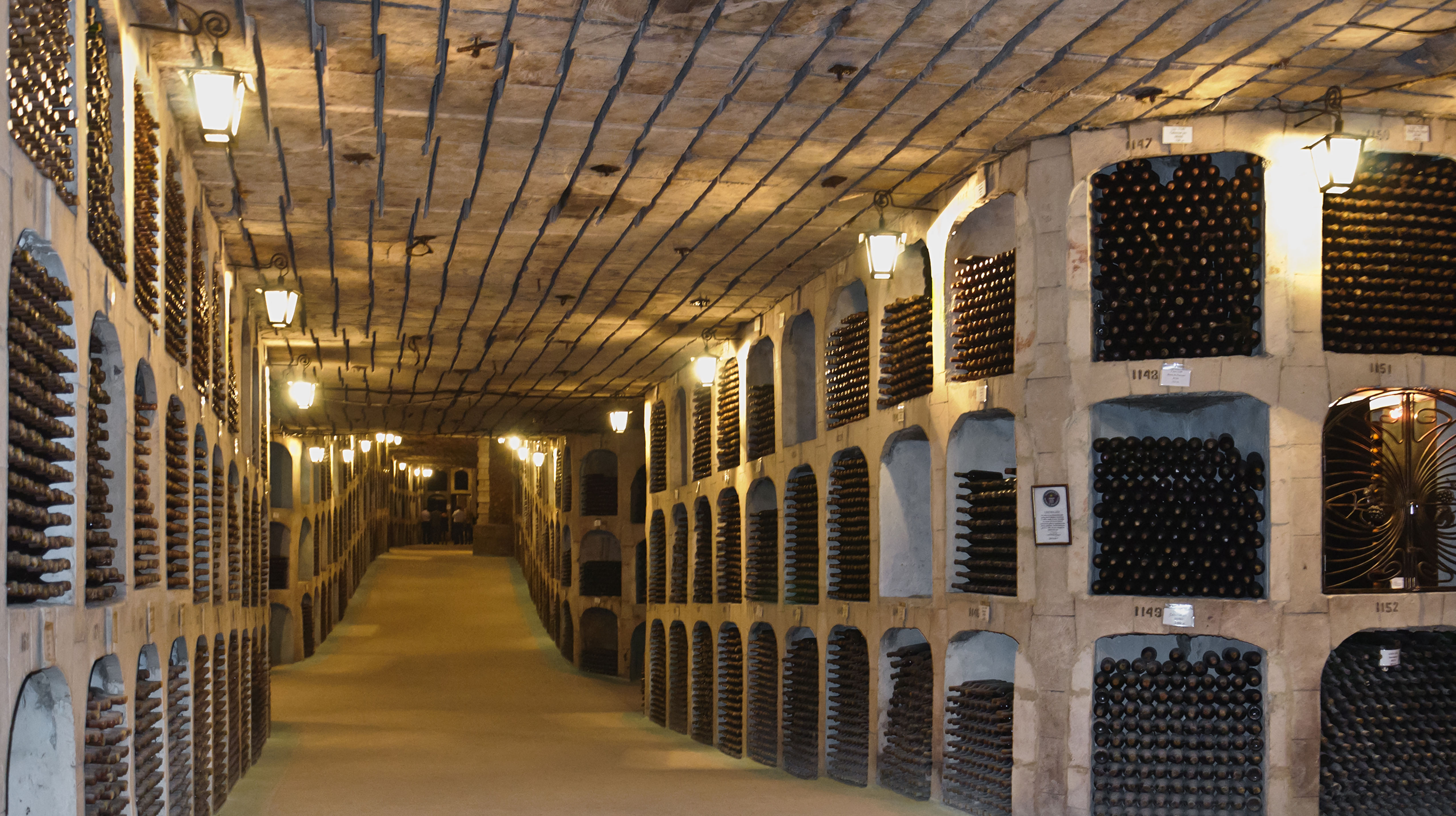 Adobestock 1122694001 Kopie