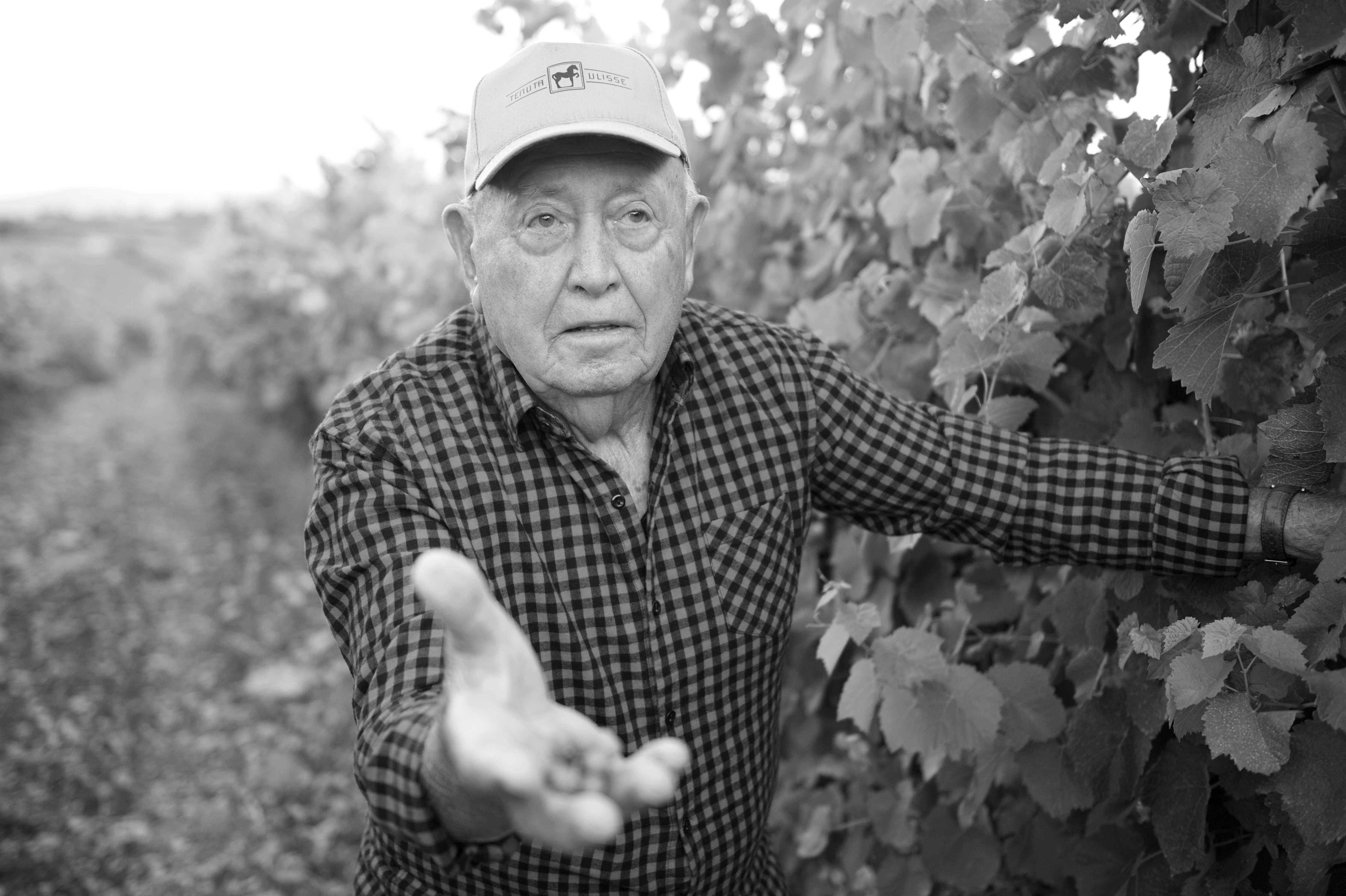 TENUTA ULISSE Grandfather Antonio (1)