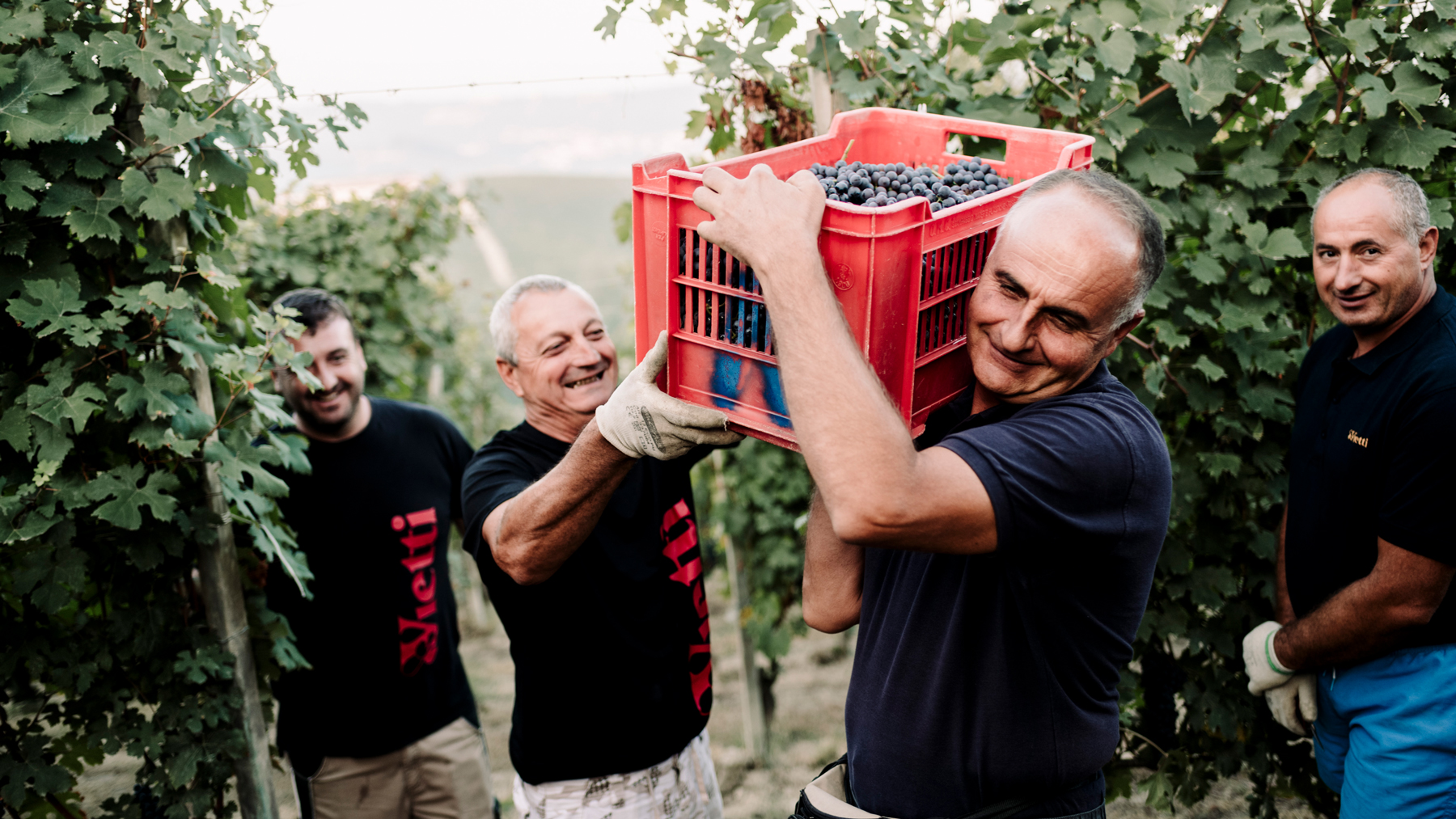 Von Salis Wein Vietti Piemont Barolo