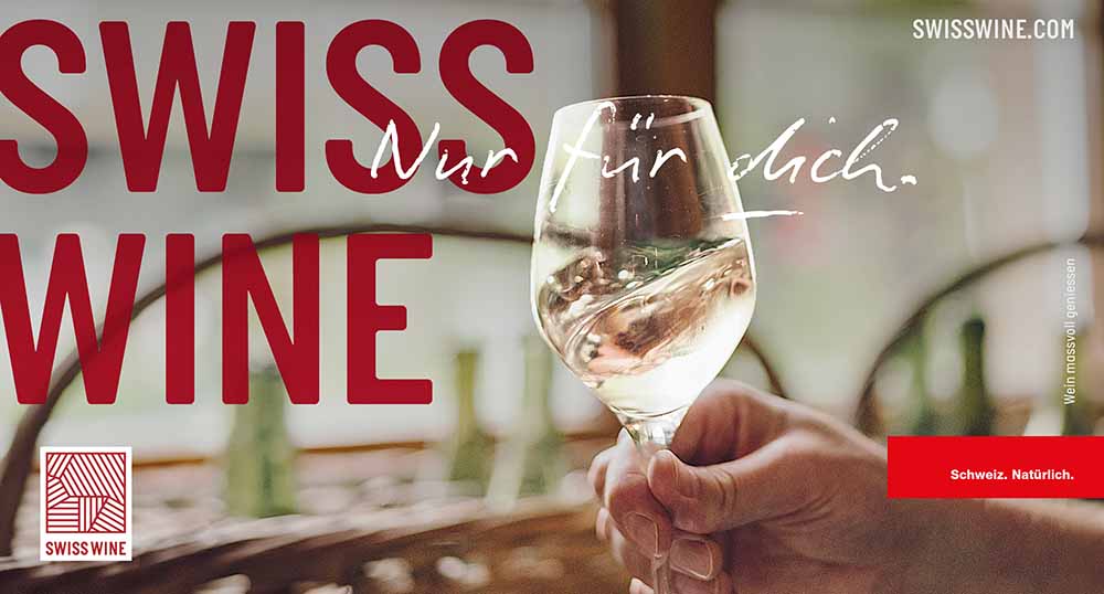 SWP RQPT 994X250 Blanc 300Dpi DE Kopie