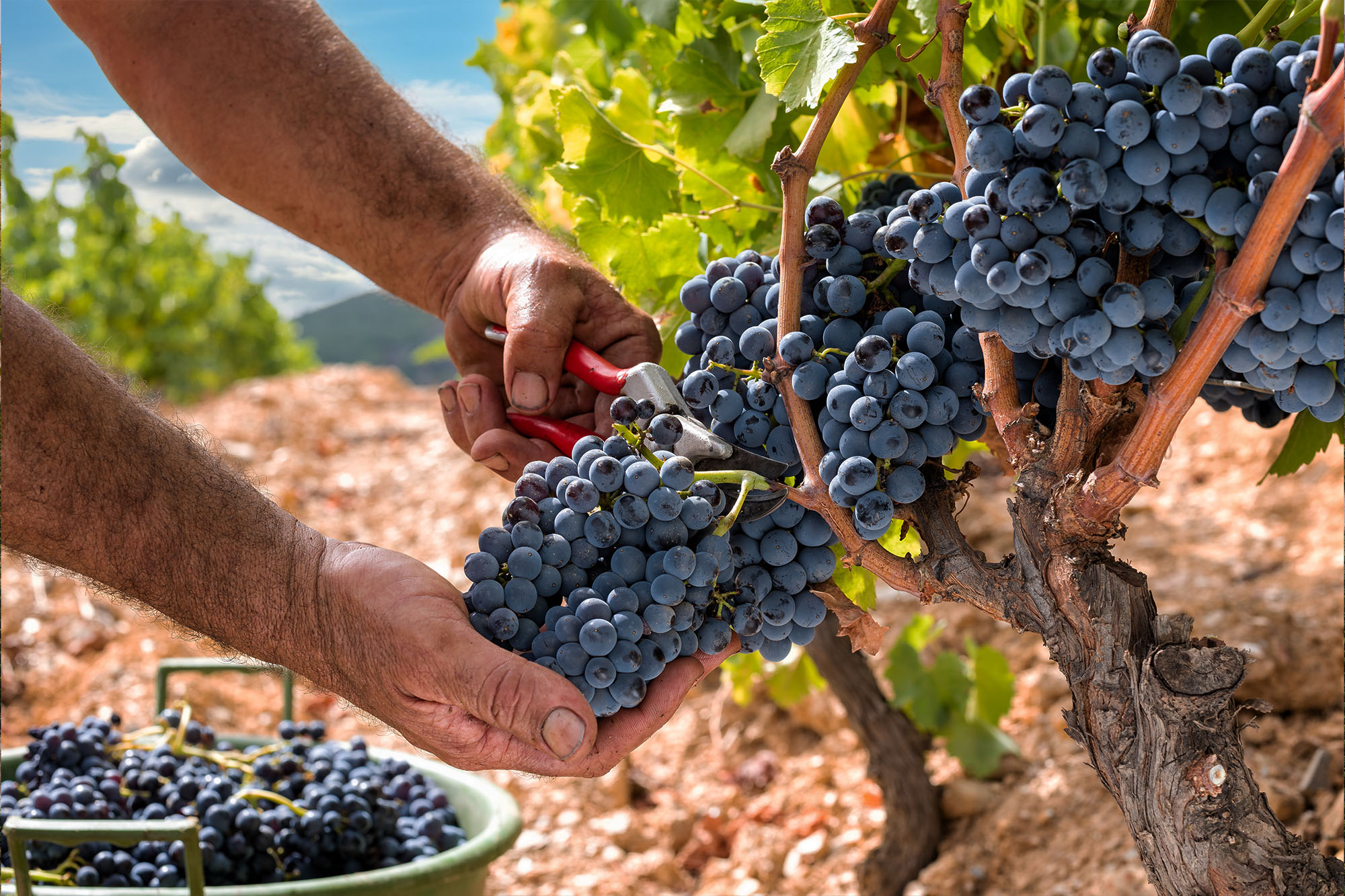 Adobestock 1405467476 Kopie (1)