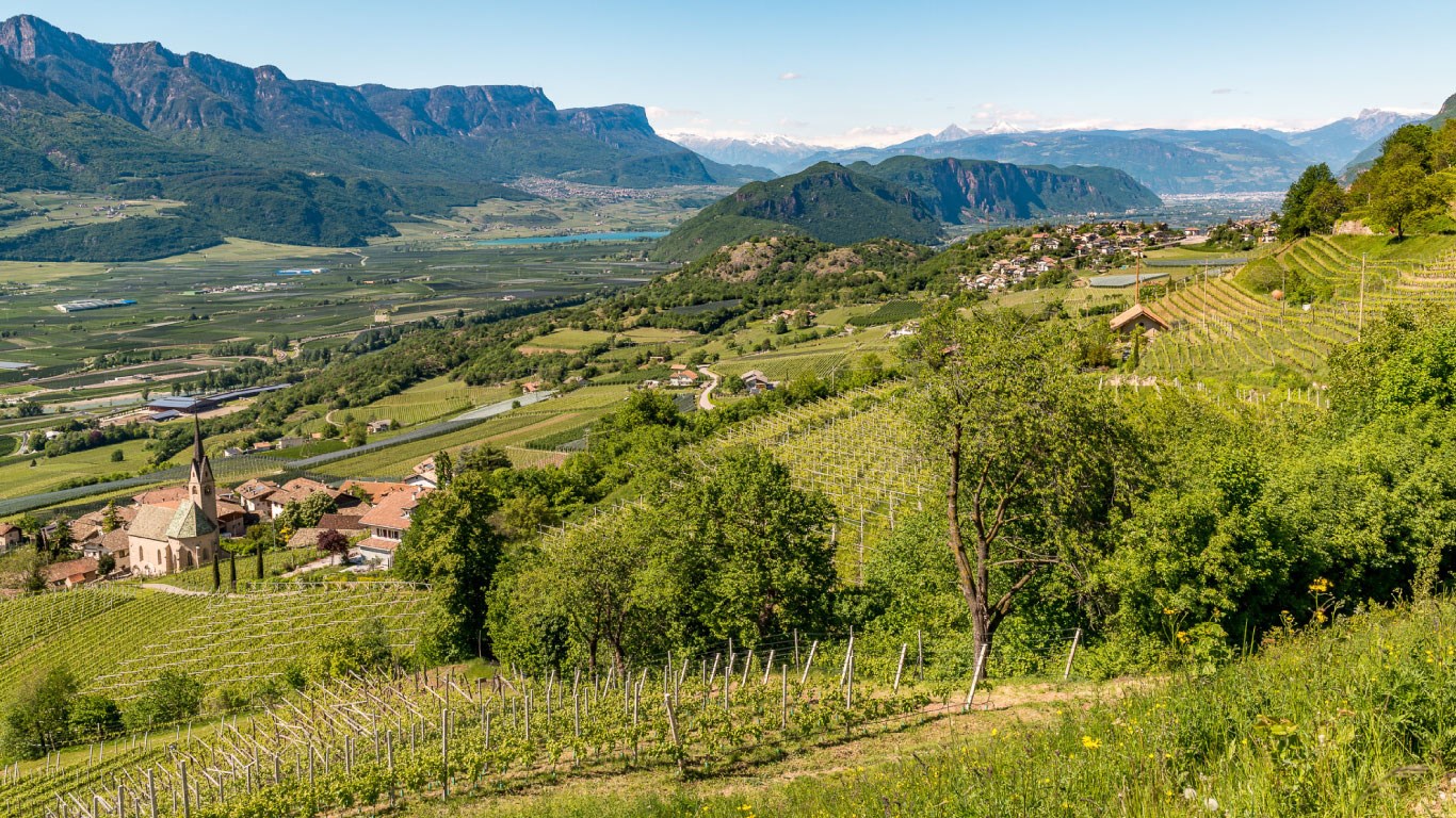 Von Salis Wein Blog Südtirol Altoadige Weingut Castelfeder Reben Natur
