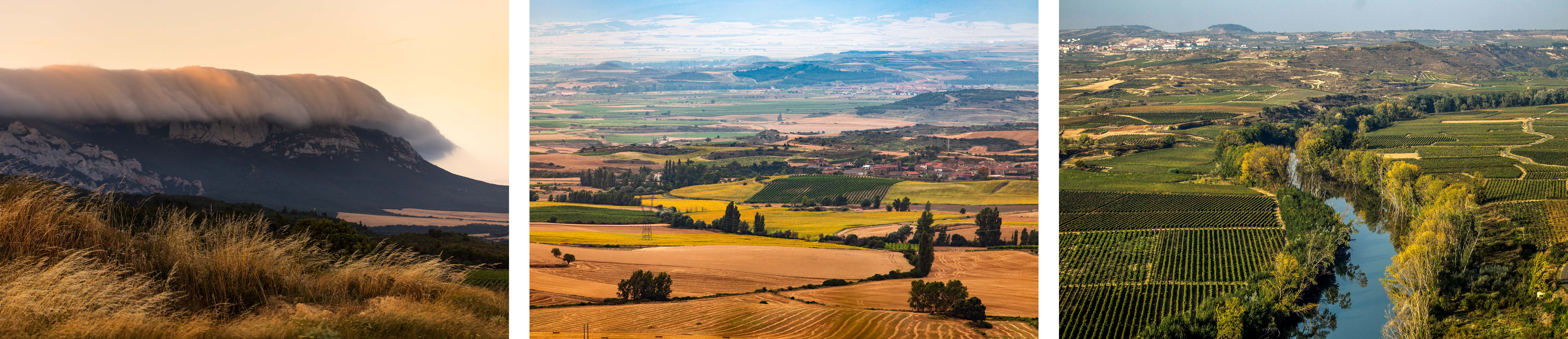 100 Jahre Rioja Terroir