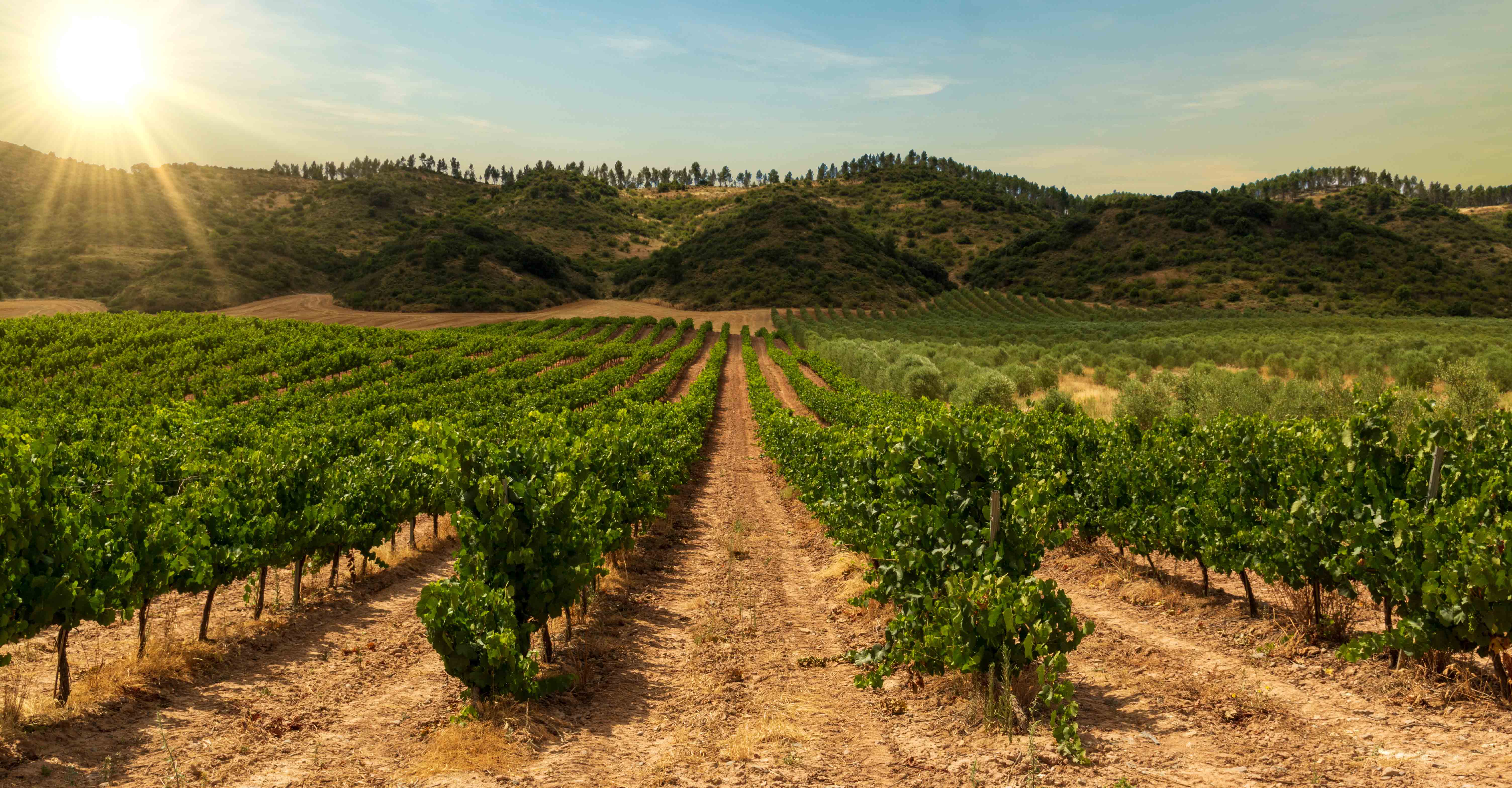Gran Rioja Vonsalis Blog