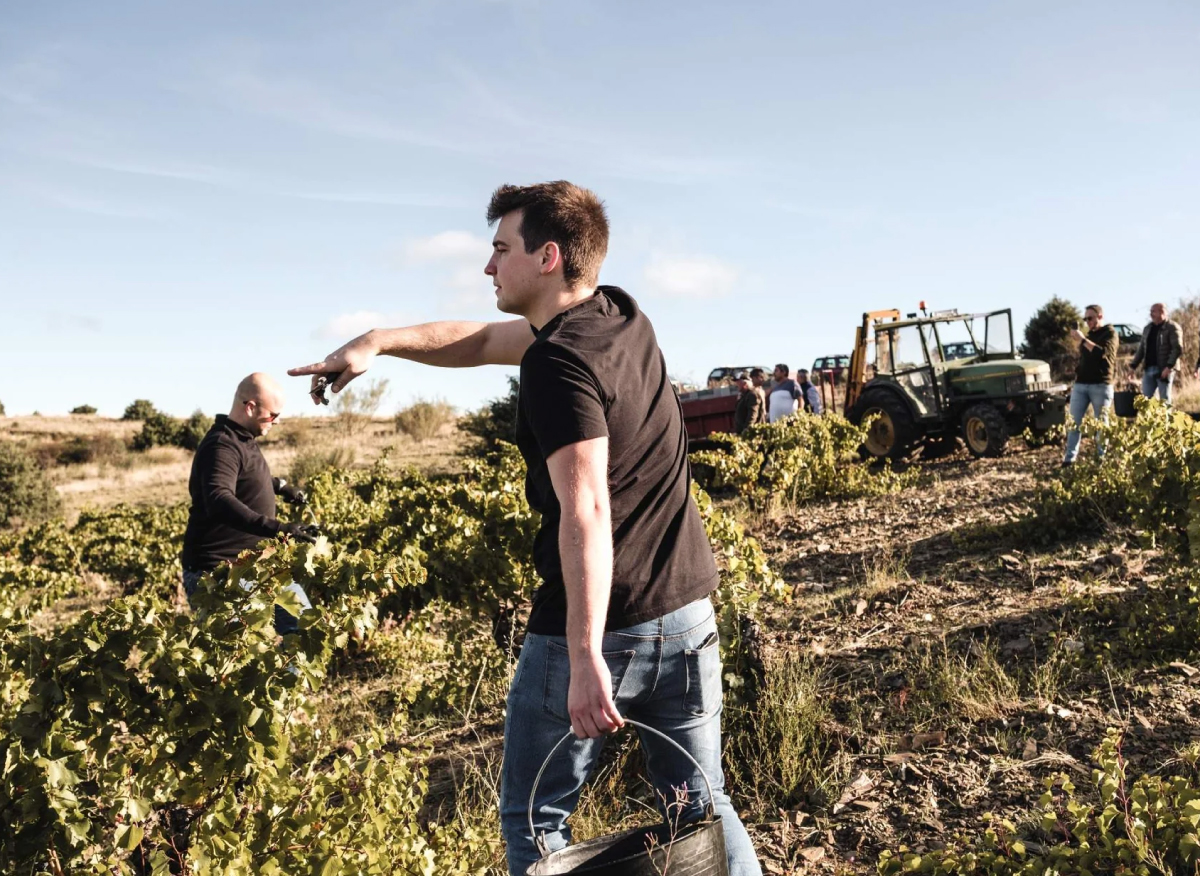 Spanien Calatayud Raices Ibericas Von Salis Wein