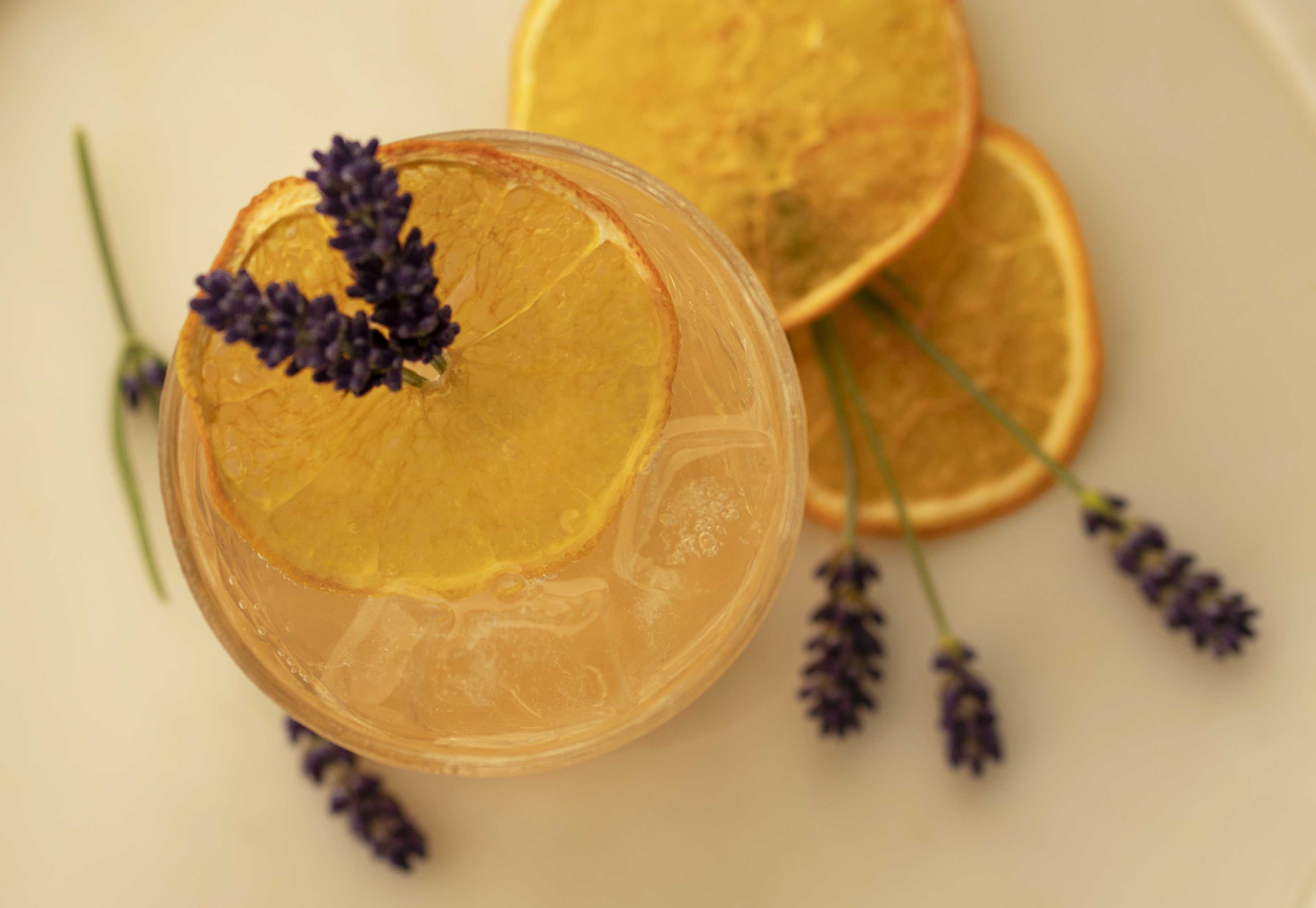 Salty Grapefruit Spritz Dry January Von Salis (2)