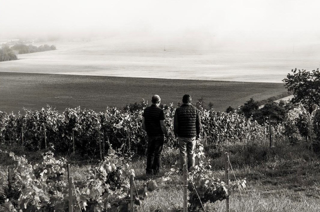Champagne Dehours De La Terre Au Vin Champagne Dehours De La Terre Au Vin