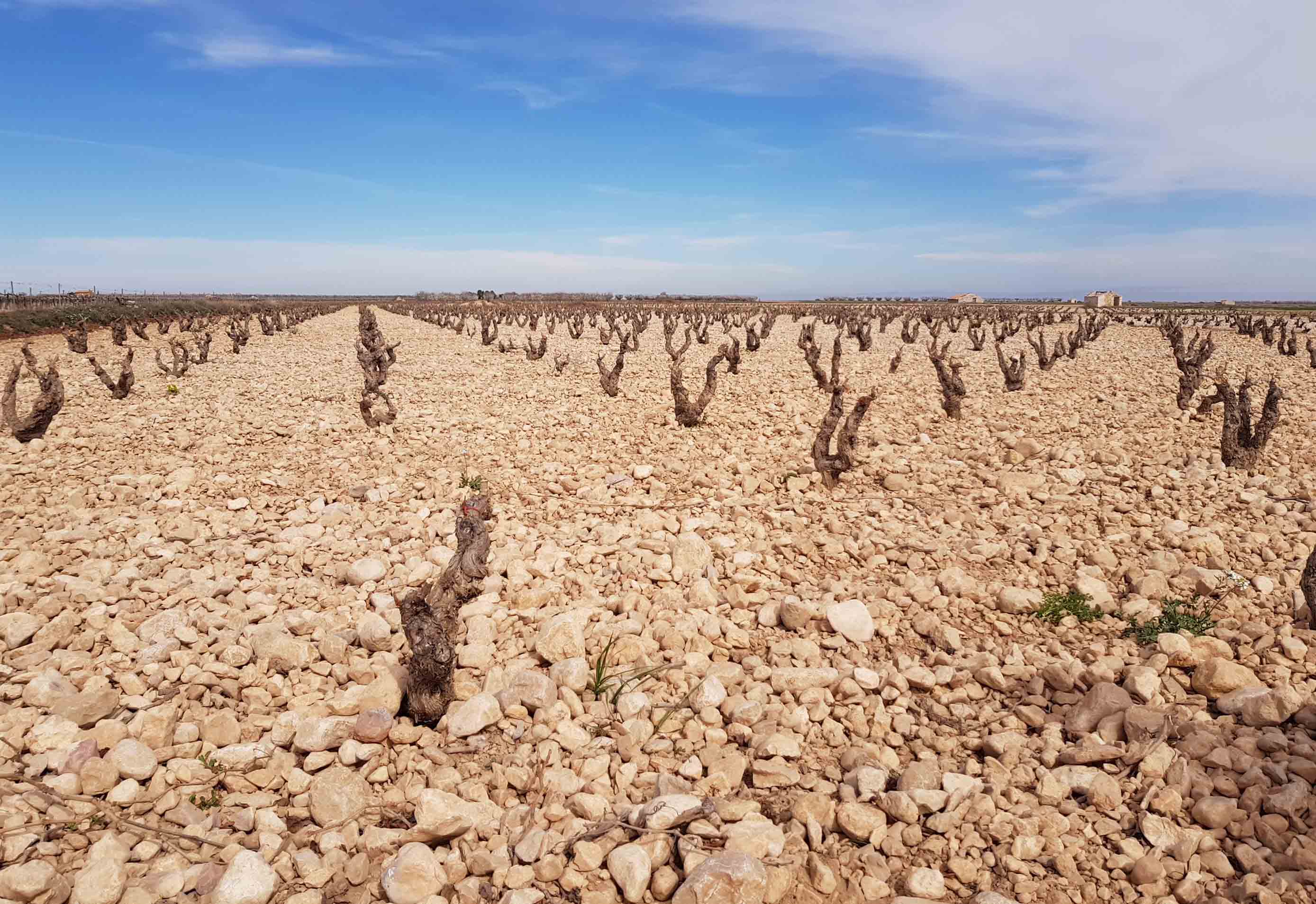 Rioja Vonsaliswein Blog