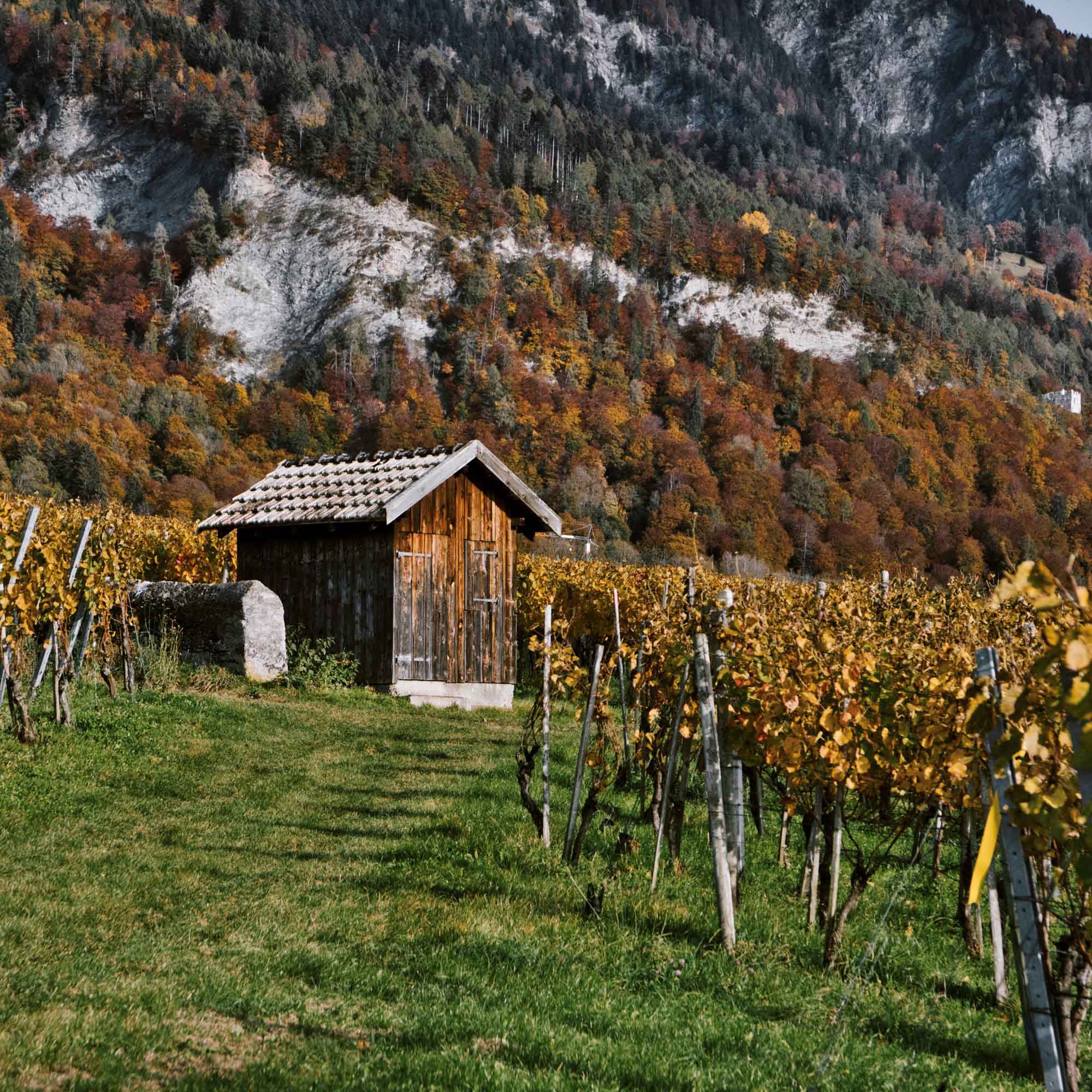 Adobestock 399376784 2 2 Kopie