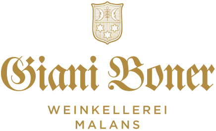 Logo Complex