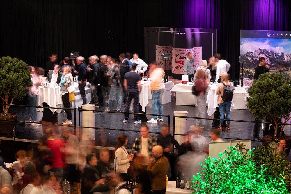 Forum Auswahl 4 Forum Auswahl 4