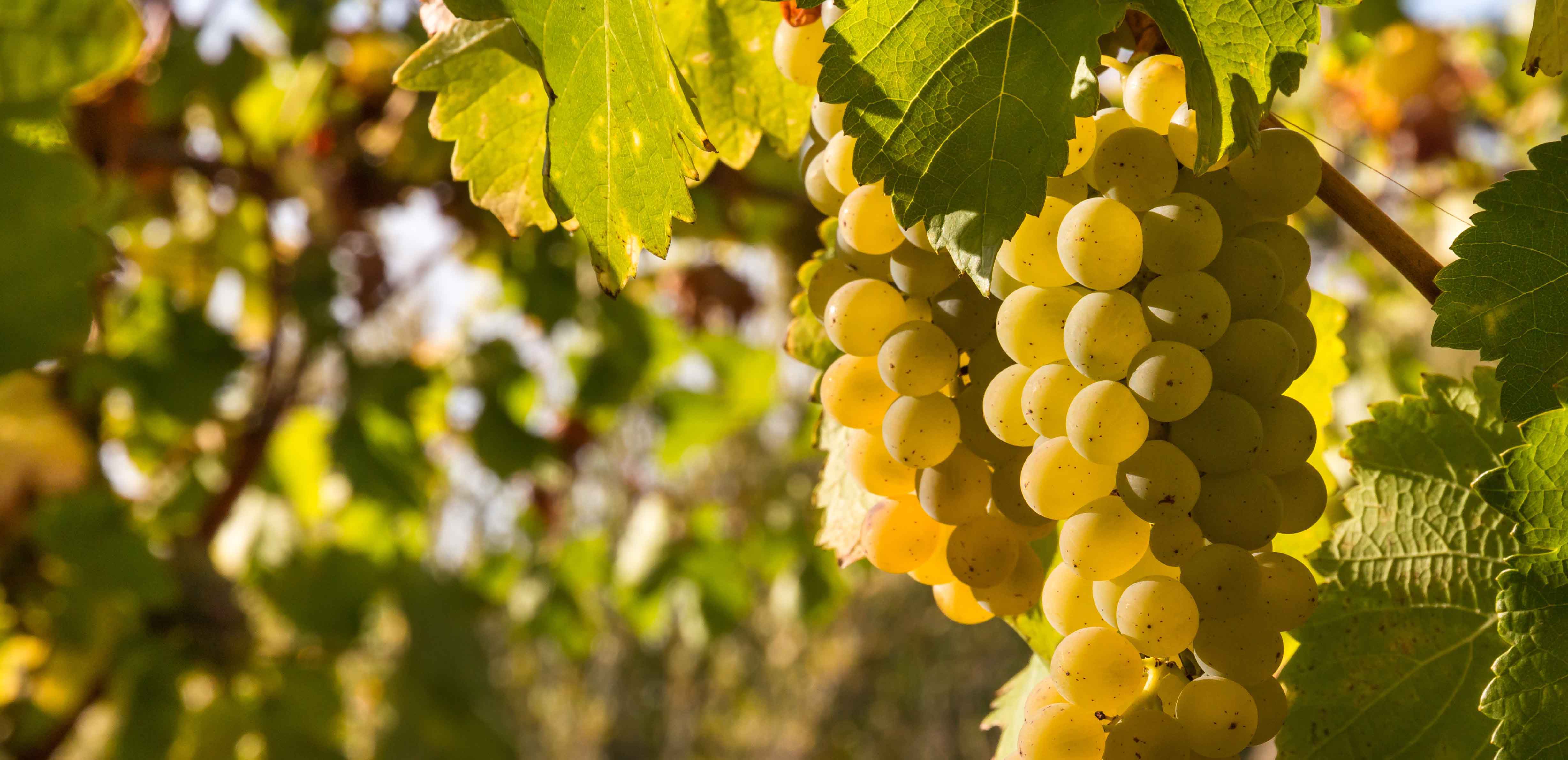 Adobestock 335669773 Kopie 2