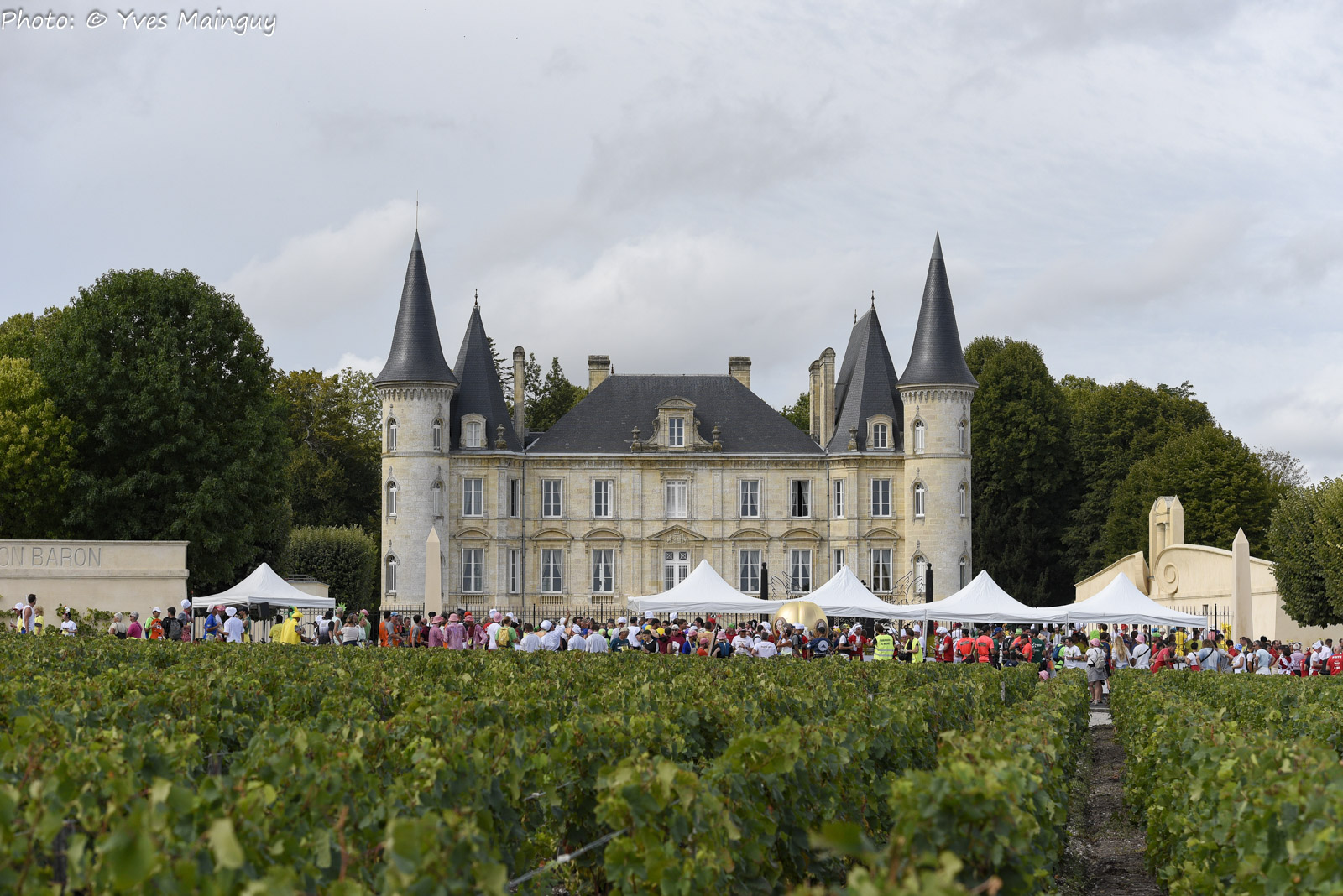 2023 17C Ym Medoc J3 169