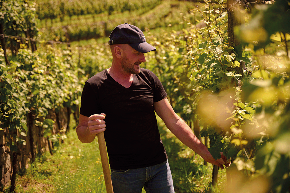 Weingut Muthenthaler Von Salis Weine 5 Weingut Muthenthaler Von Salis Weine 5