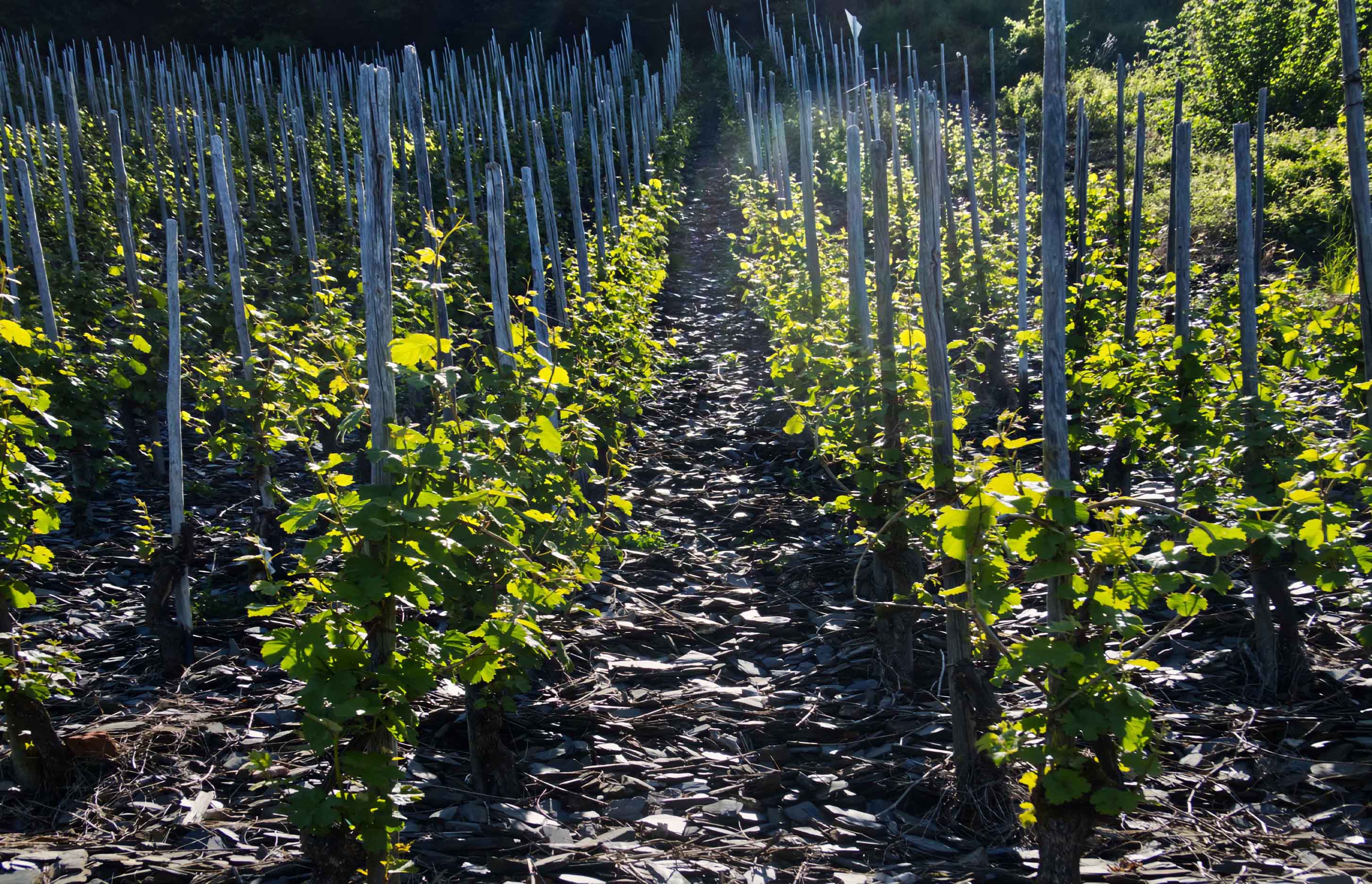 Adobestock 123128053 Kopie 2 (2)