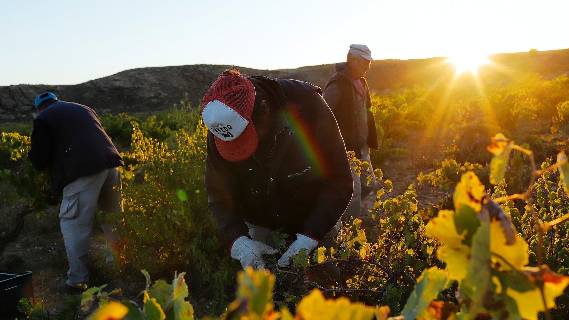 Von Salis Wein Spanien Min